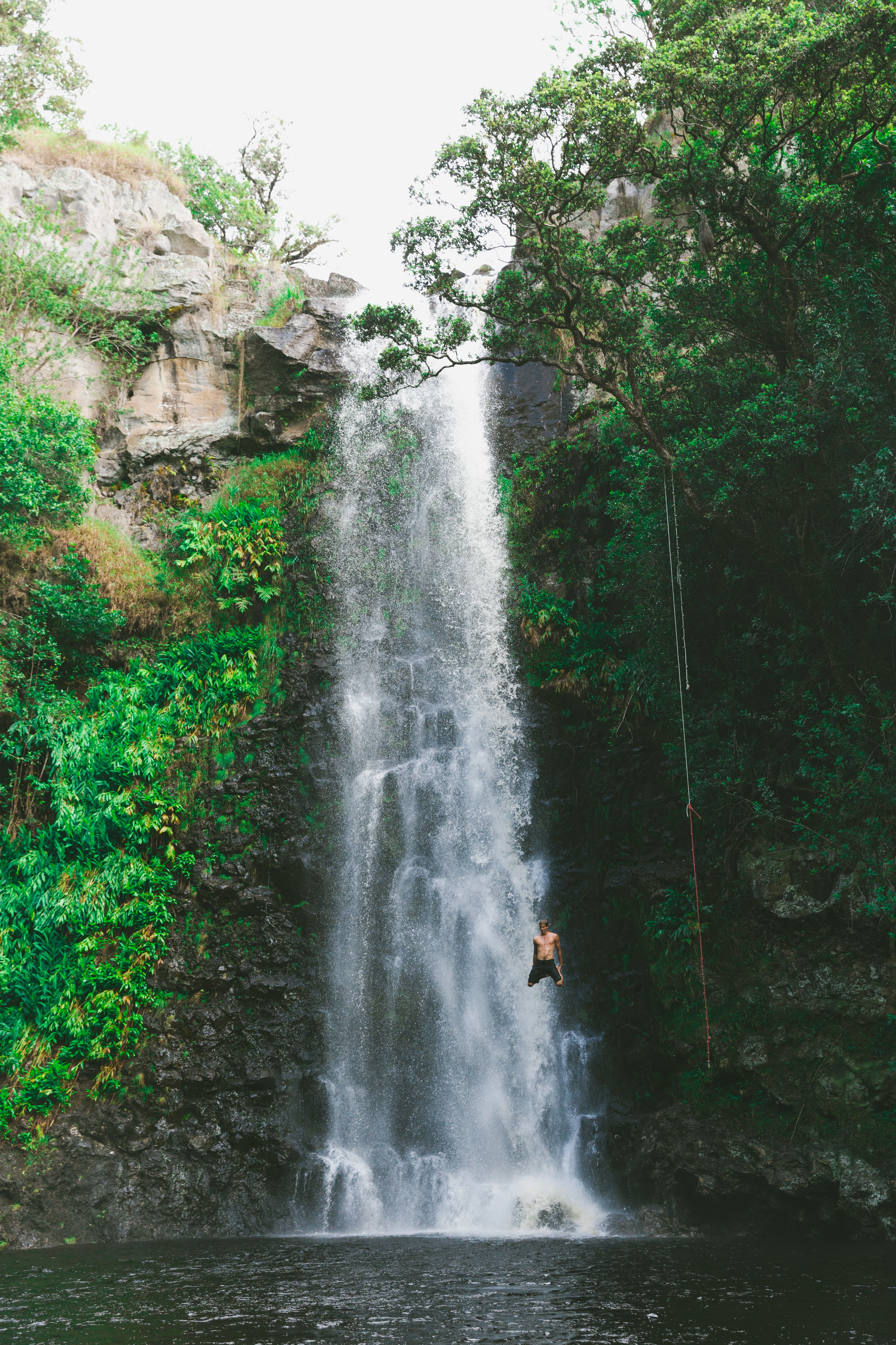 Homem da piscina em cascata pulando árvores de Kauai