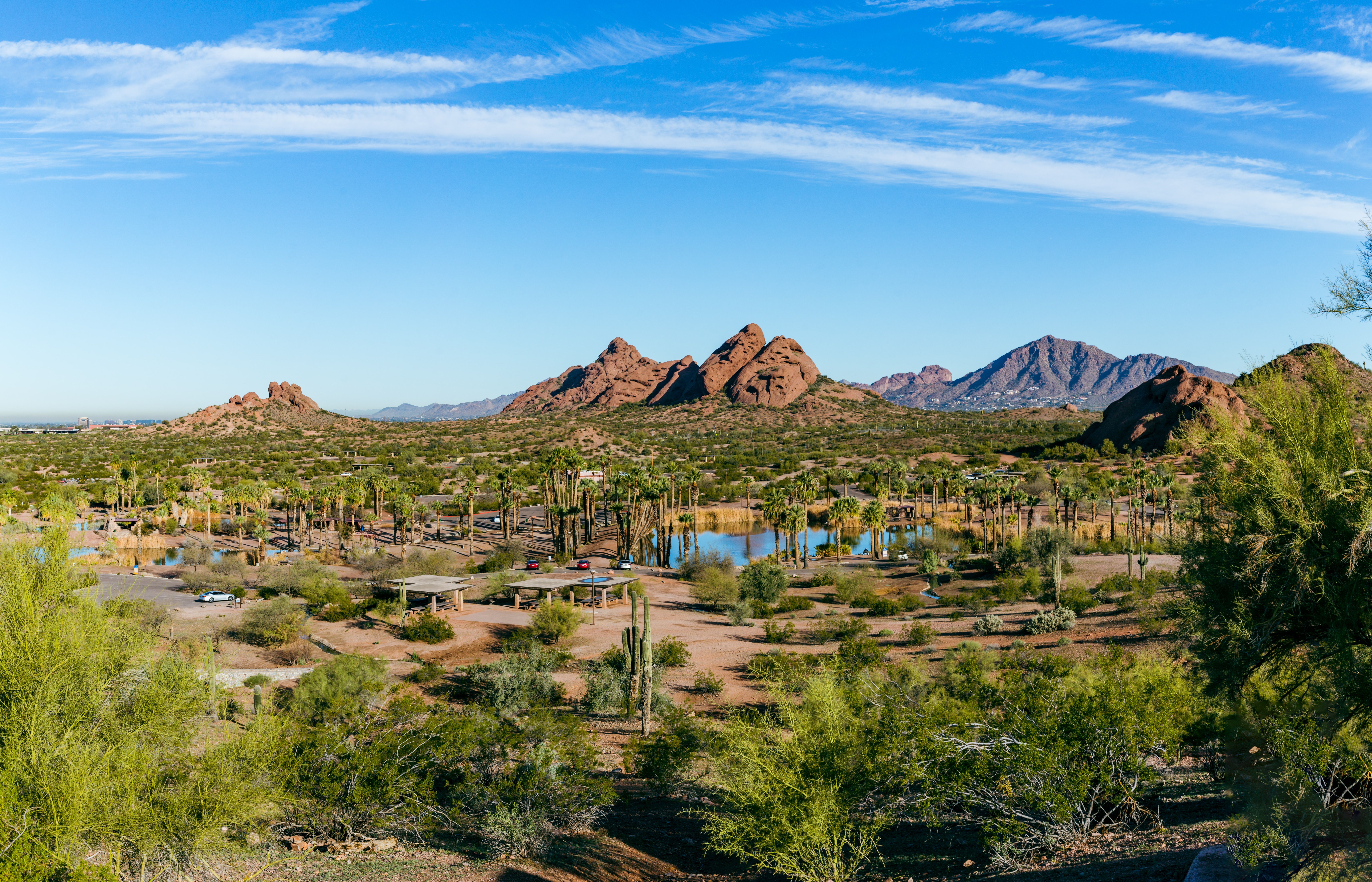 Deserto de Phoenix Arizona e vista para a montanha 