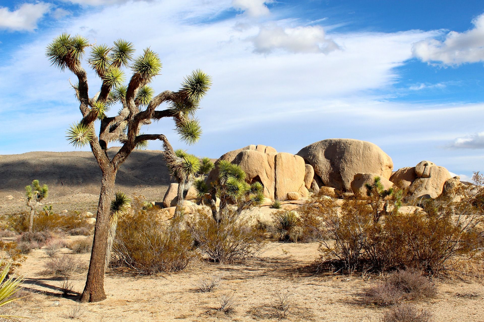 Vista do deserto do Parque Nacional Joshua Tree 