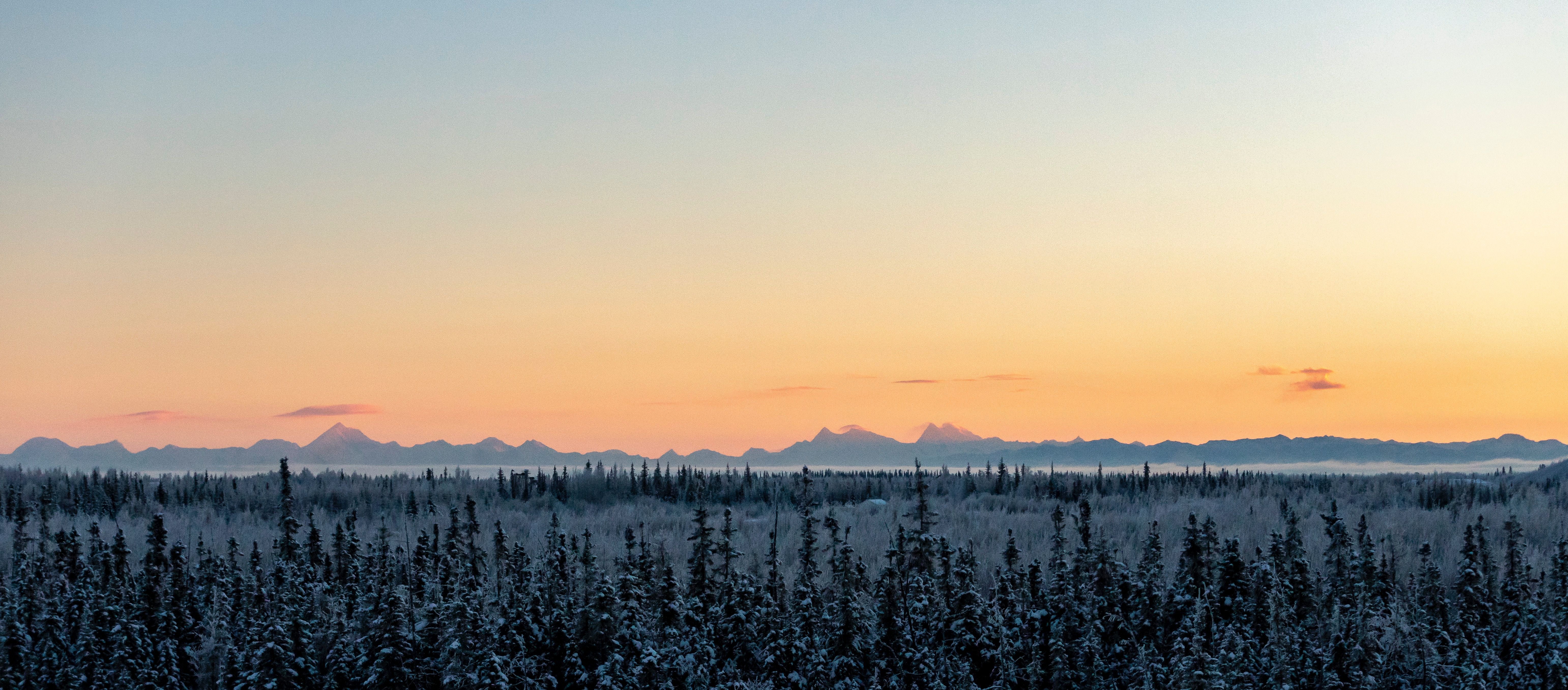 View from Wickersham Dome in Fairbanks, Alaska