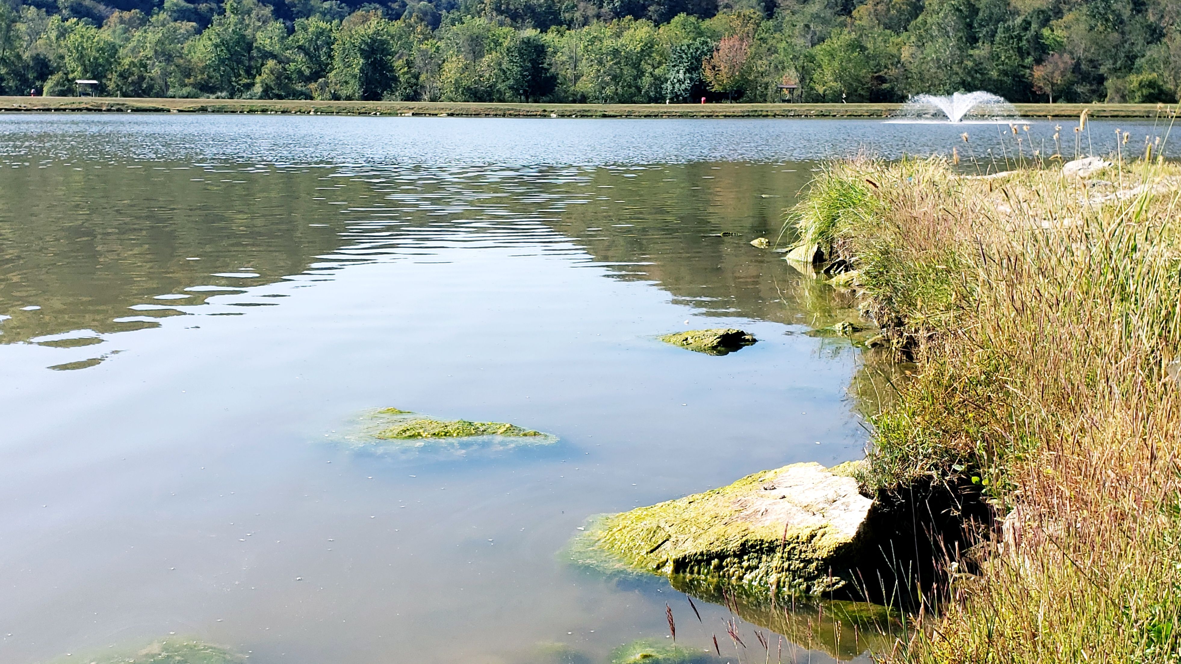 Lake at the Barborsville Park in Huntington West Virginia 