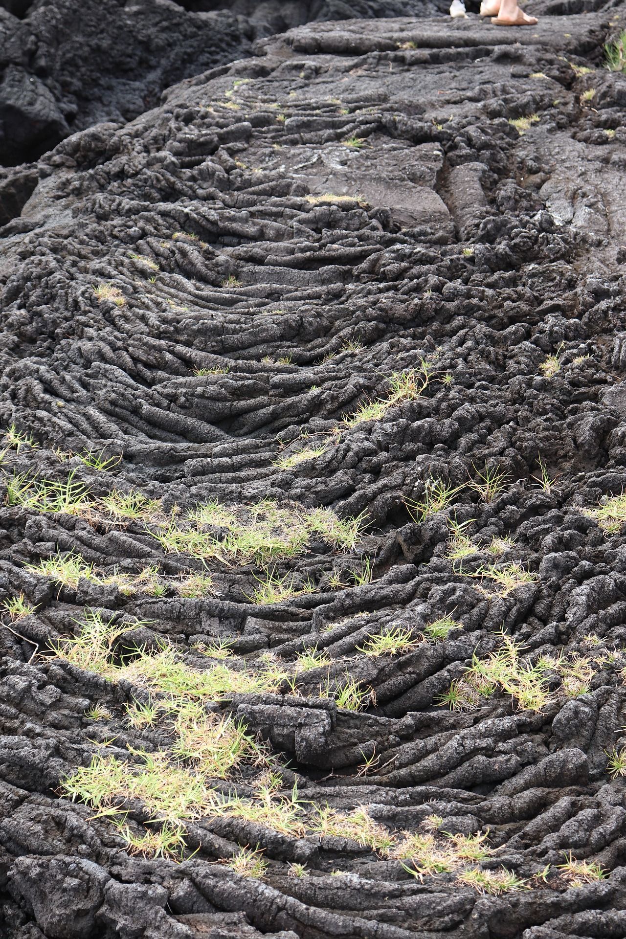 Fluxo de lava do vulcão no Parque Nacional dos Vulcões do Havaí na trilha Halema'uma'u Steam Bluff e Sulphur Banks