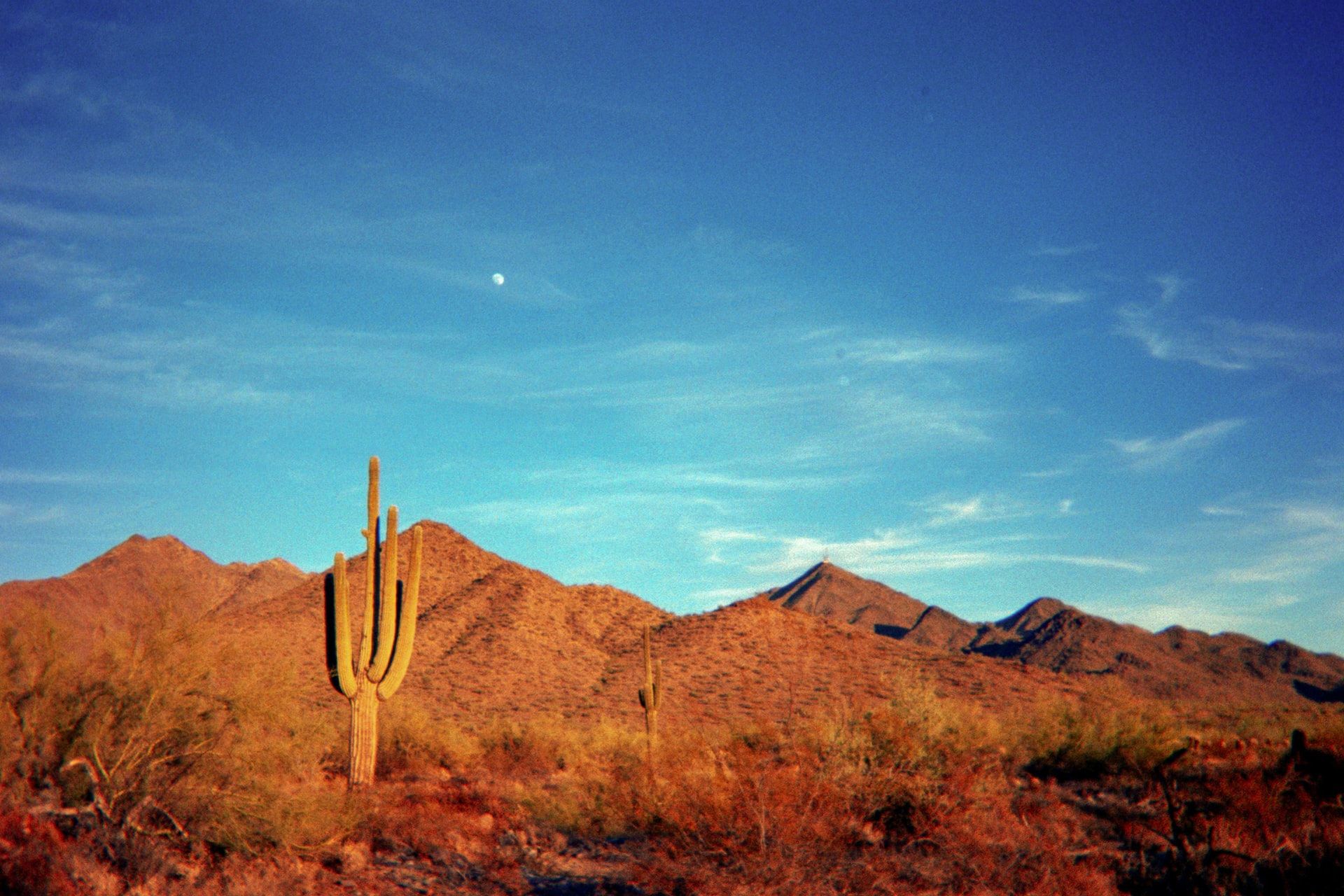 Vista panorâmica do deserto em Scottsdale, Arizona 