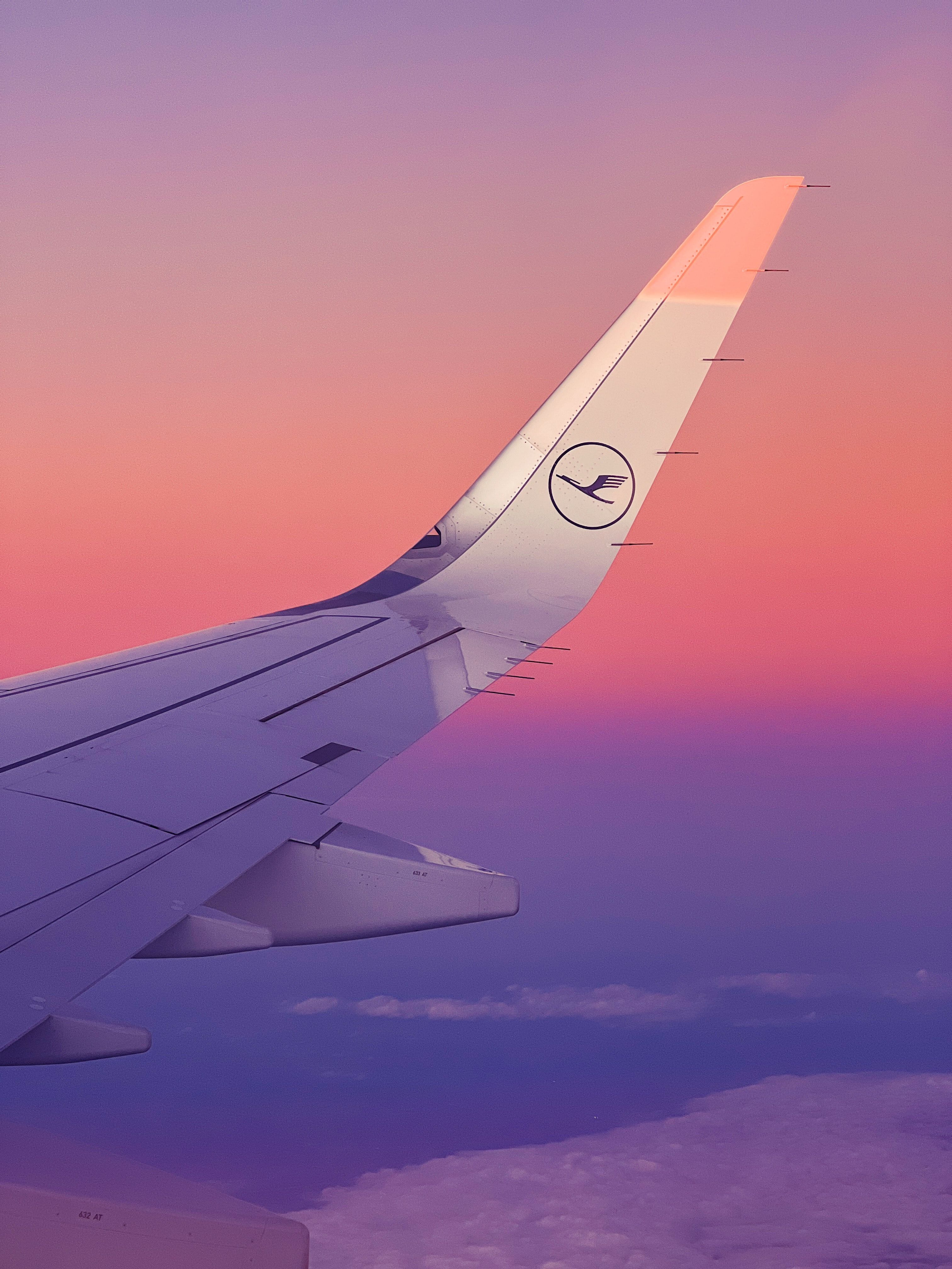 Lufthansa in Millenial Pink