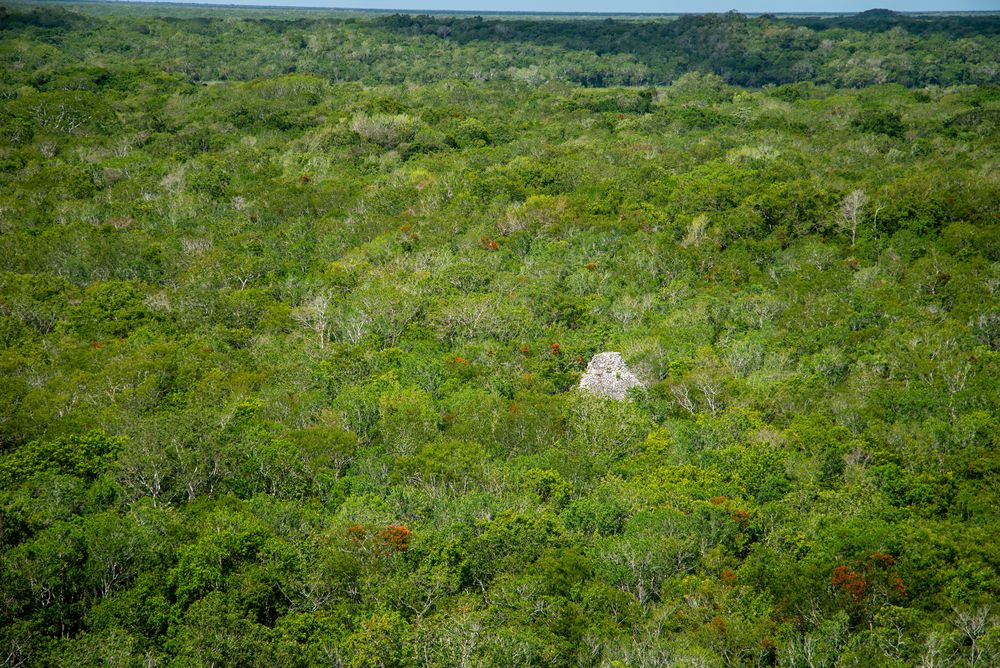 Maya ruins in the jungle