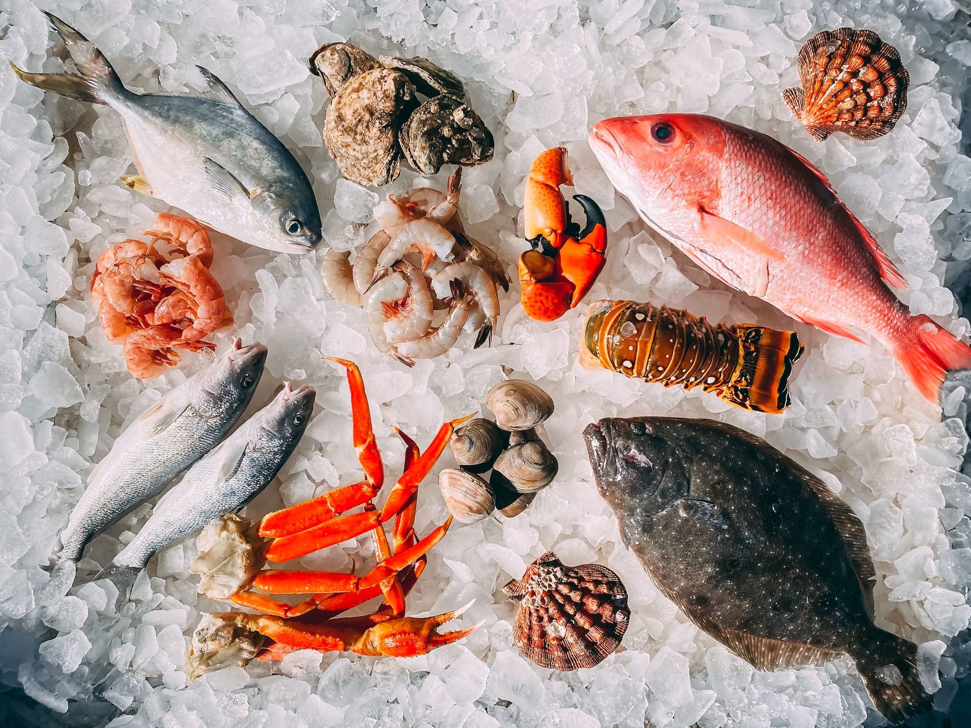 Seafood on ice, fresh fish and scallops