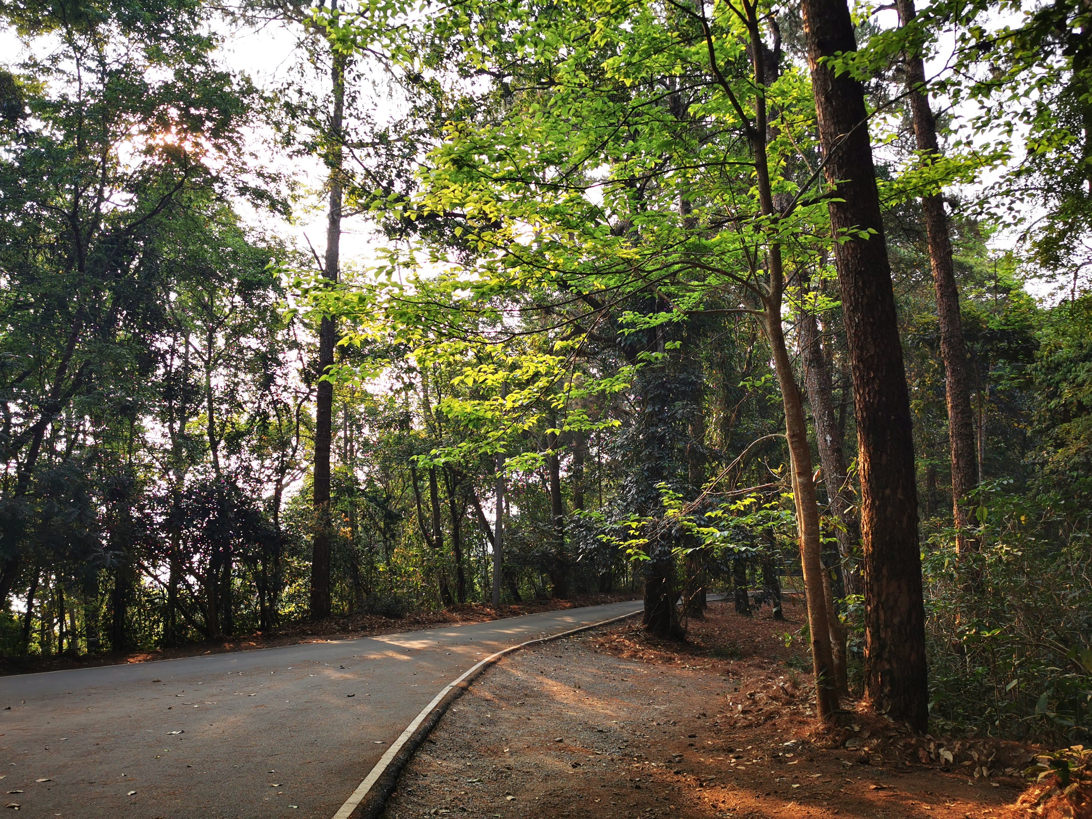 Mountain Lanes around Chiang Mai