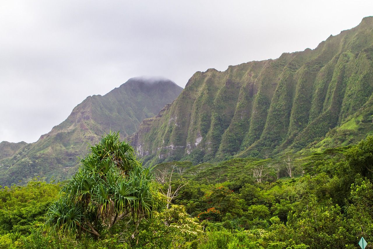 13 Things To Do In Kaneohe Complete Guide To This Quiet Oahu Gem