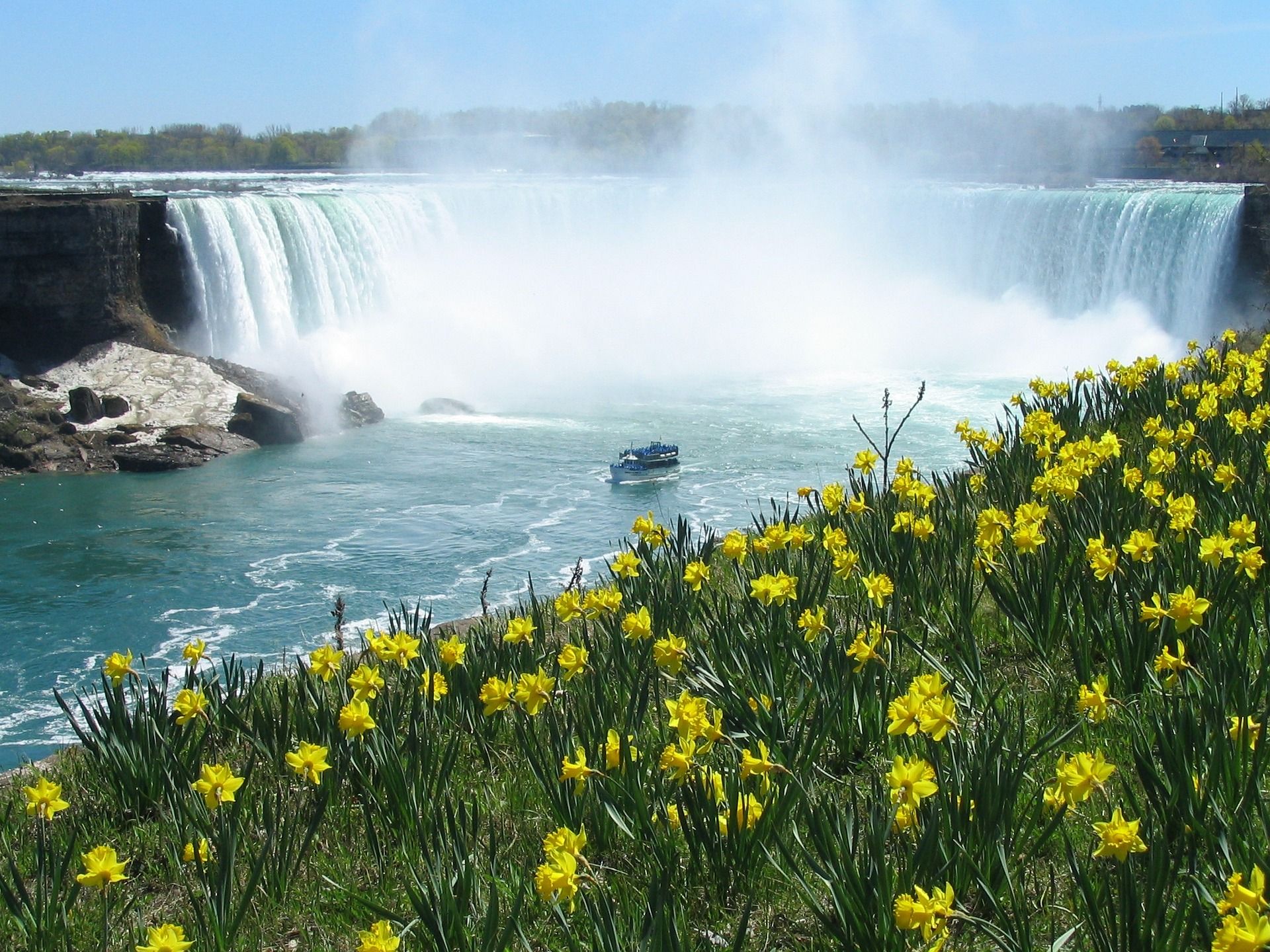 Niagara Falls flores primavera flor