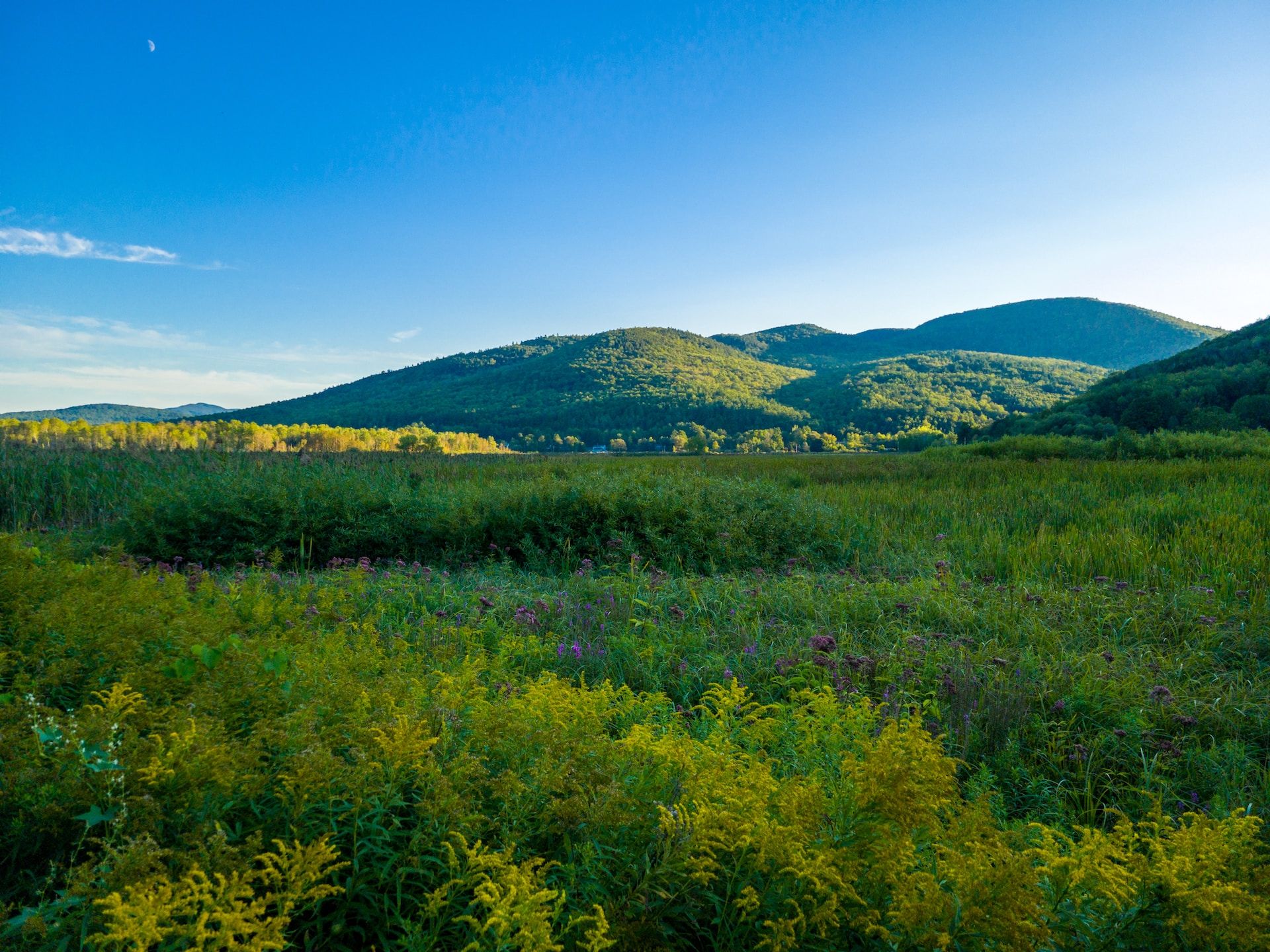 12 Things To Do In Rutland Complete Guide To The MustSees In This