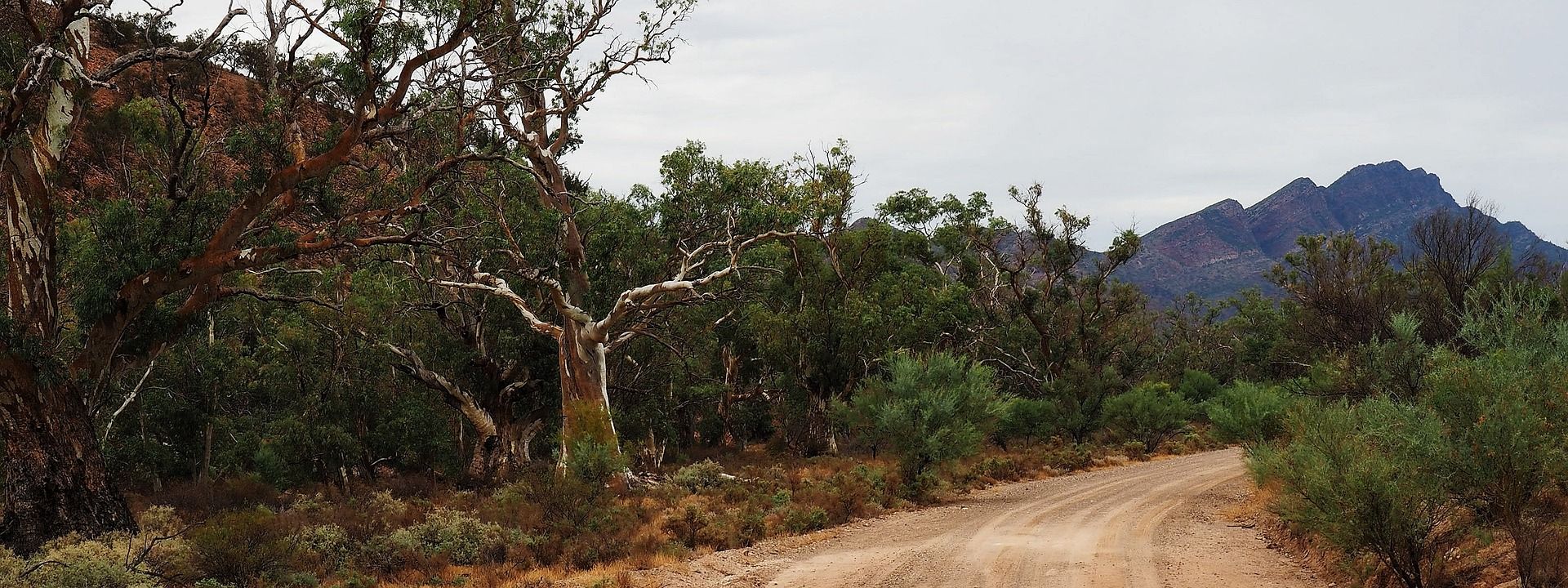 Flinders Ranges, Outback, South Australia