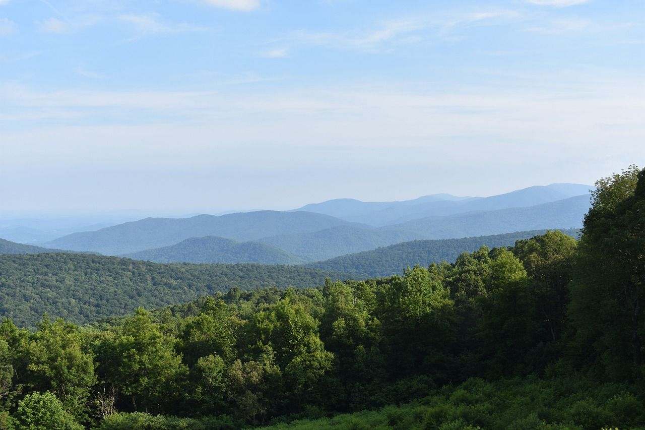 The 10 Best Dog-Friendly Hiking Trails In Shenandoah National Park