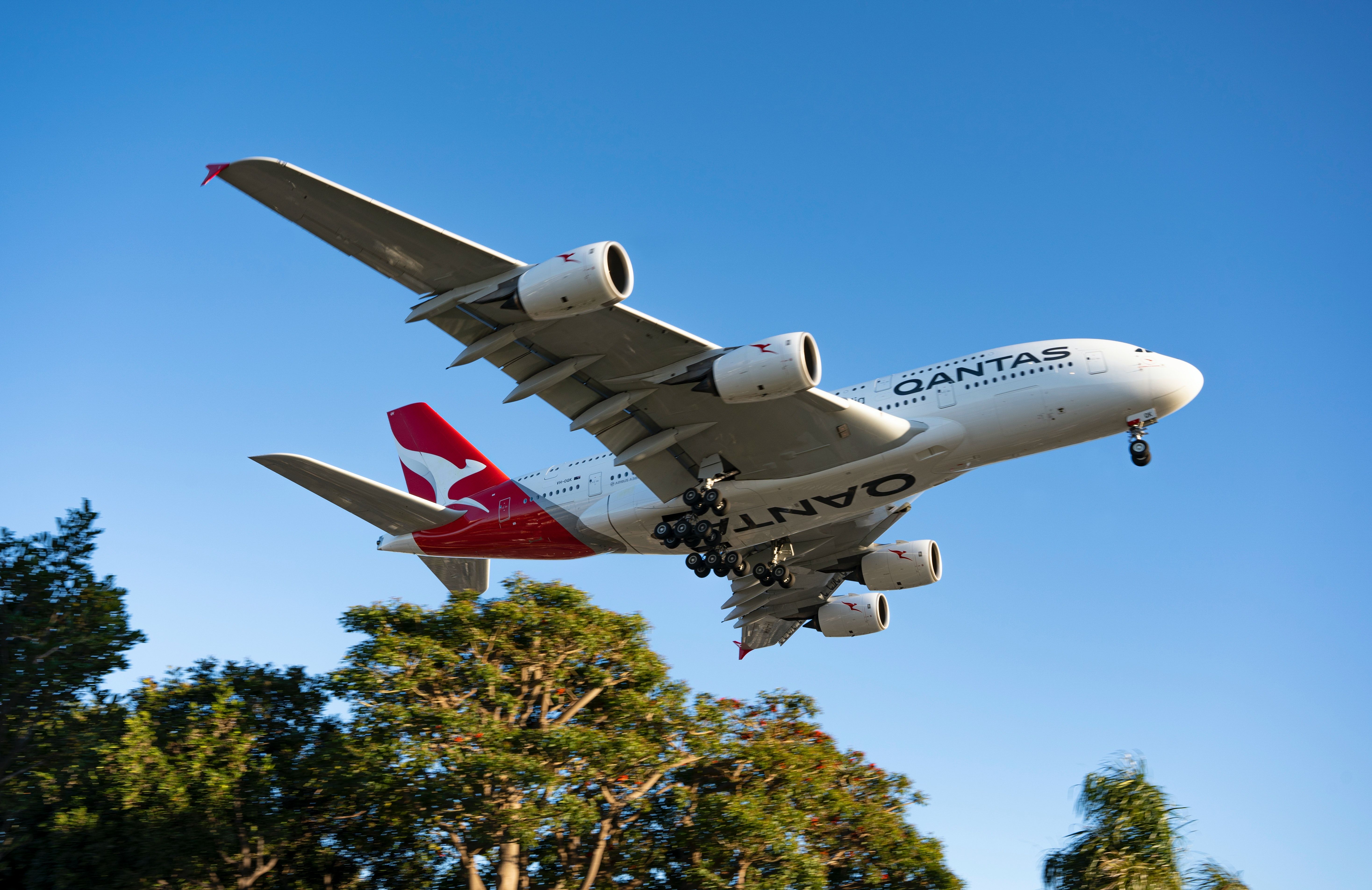 Qantas Airlines is an international or domestic flyer's dream.
