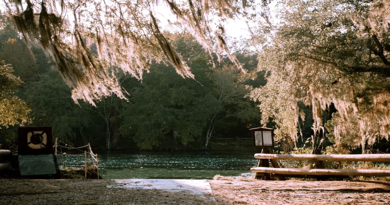 Silver Glen Springs in Ocala National Forest, Florida, USA