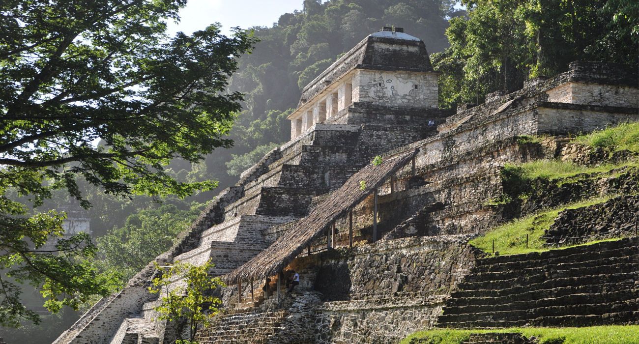 Why Mexico's Jungle-Covered Ruins of Palenque Are Worth Visiting, & What It's Known For