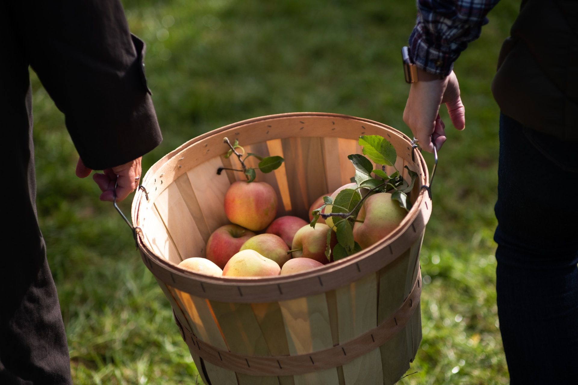 Apple picking couple enjoying a barrel of fresh apples