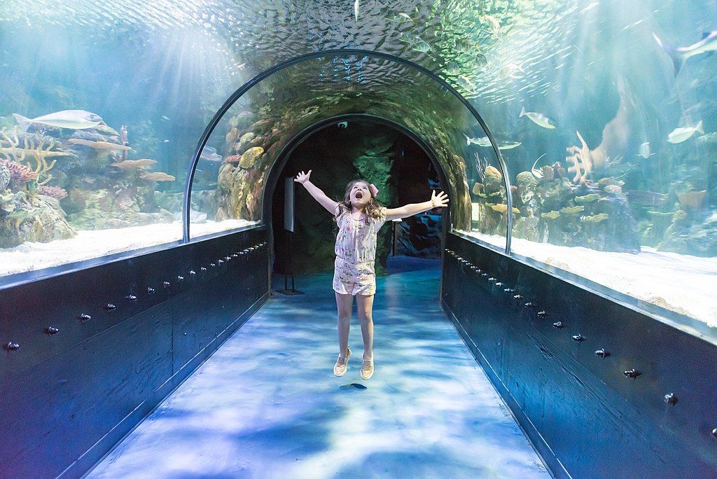 young girl in a shark tunnel at Shreveport Aquarium