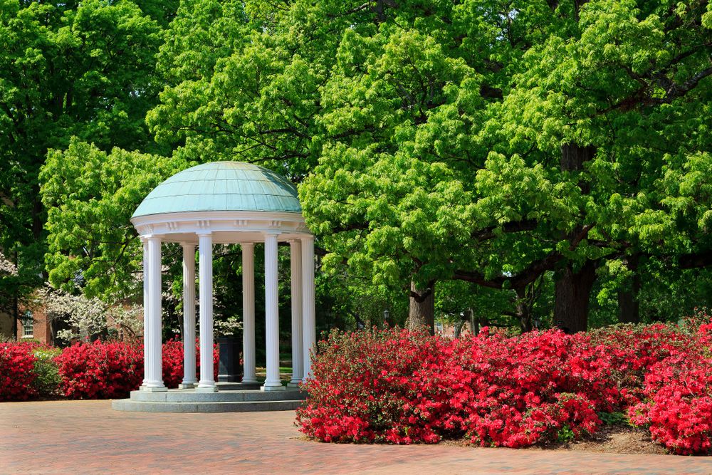 The Old Well at UNC with trees in the background, Chapel Hill