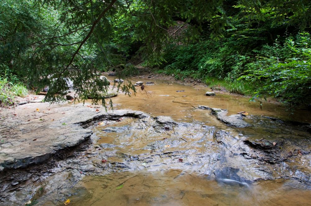12 things to do in charleston complete guide to west virginia s