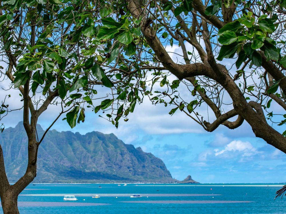 View of the beautiful Kualoa Mountains from He'eia State Park on Oahu