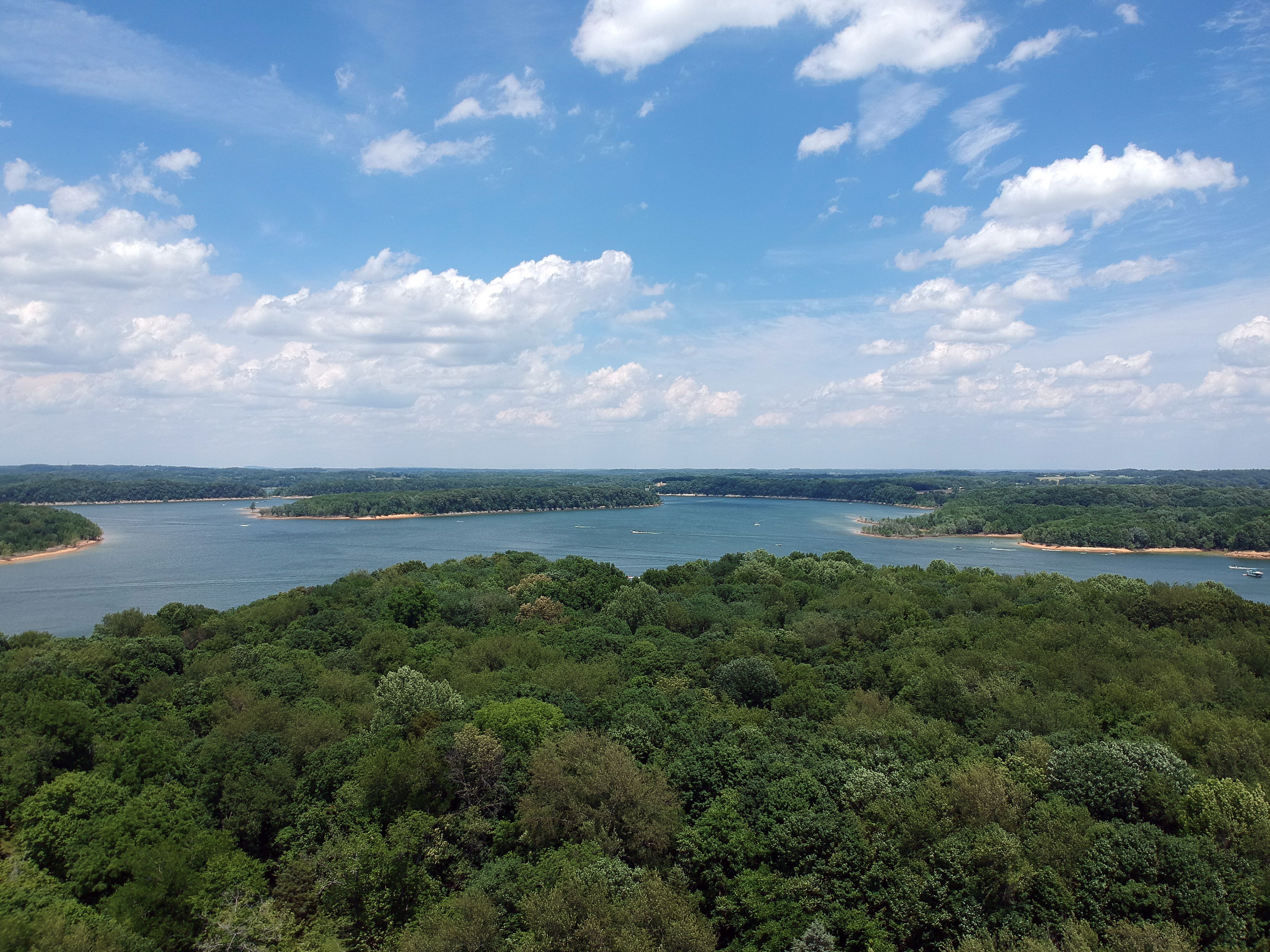 Barren River Lake cercado por vegetação exuberante