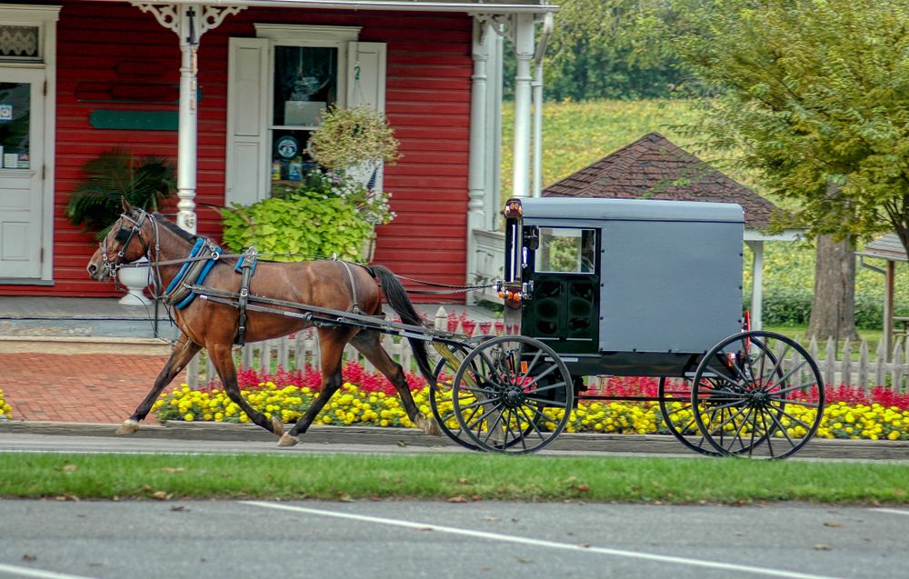 Amish horse and buggy trotting down the road in Lancaster