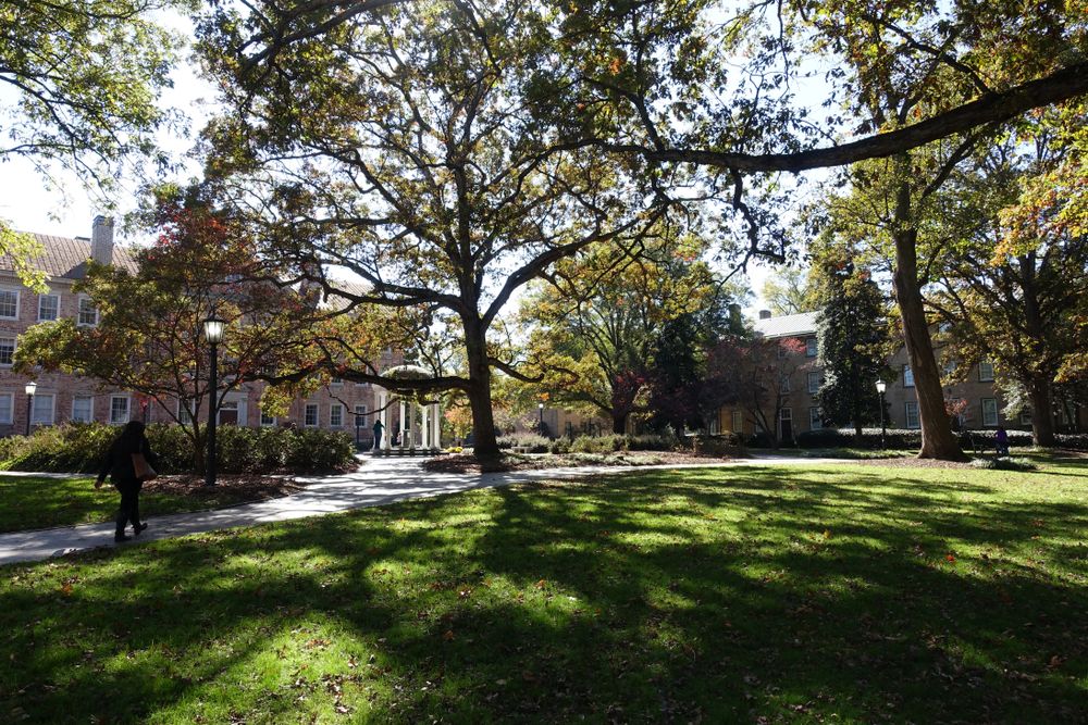 Shady trees on the UNC campus, Chapel Hill