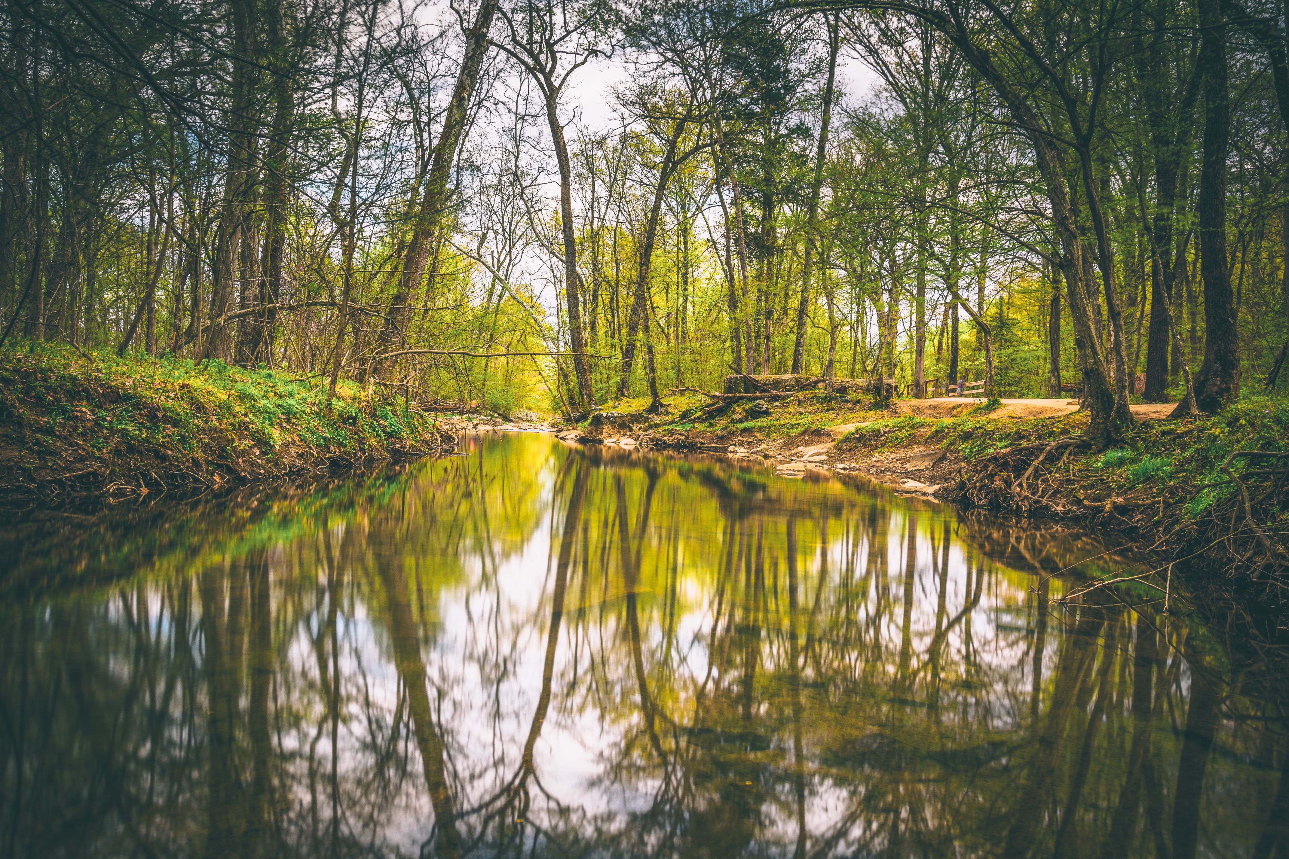 Reflexões no Canal Patowmack em Great Falls Park, Virgínia