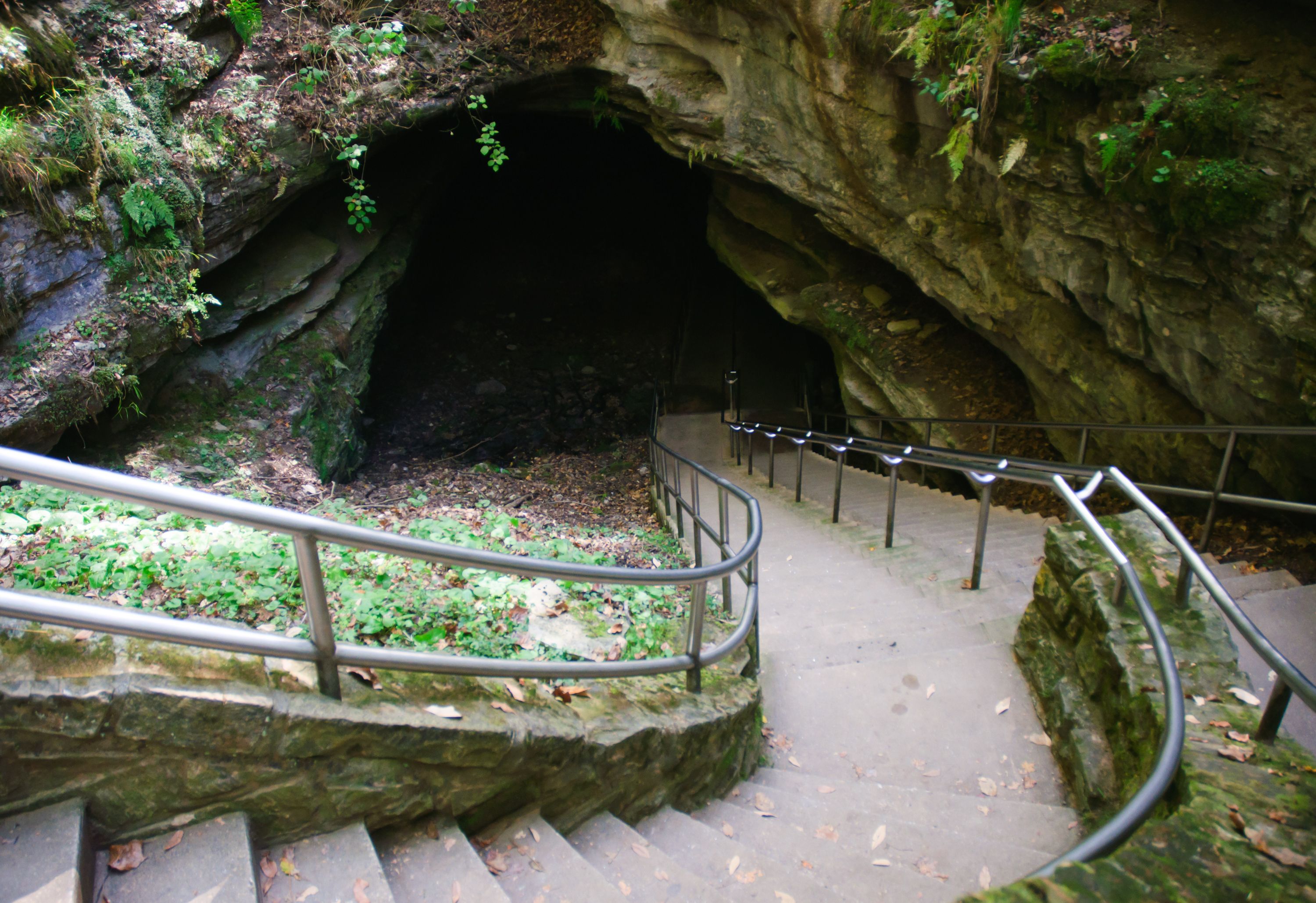 Caverna do Mamute