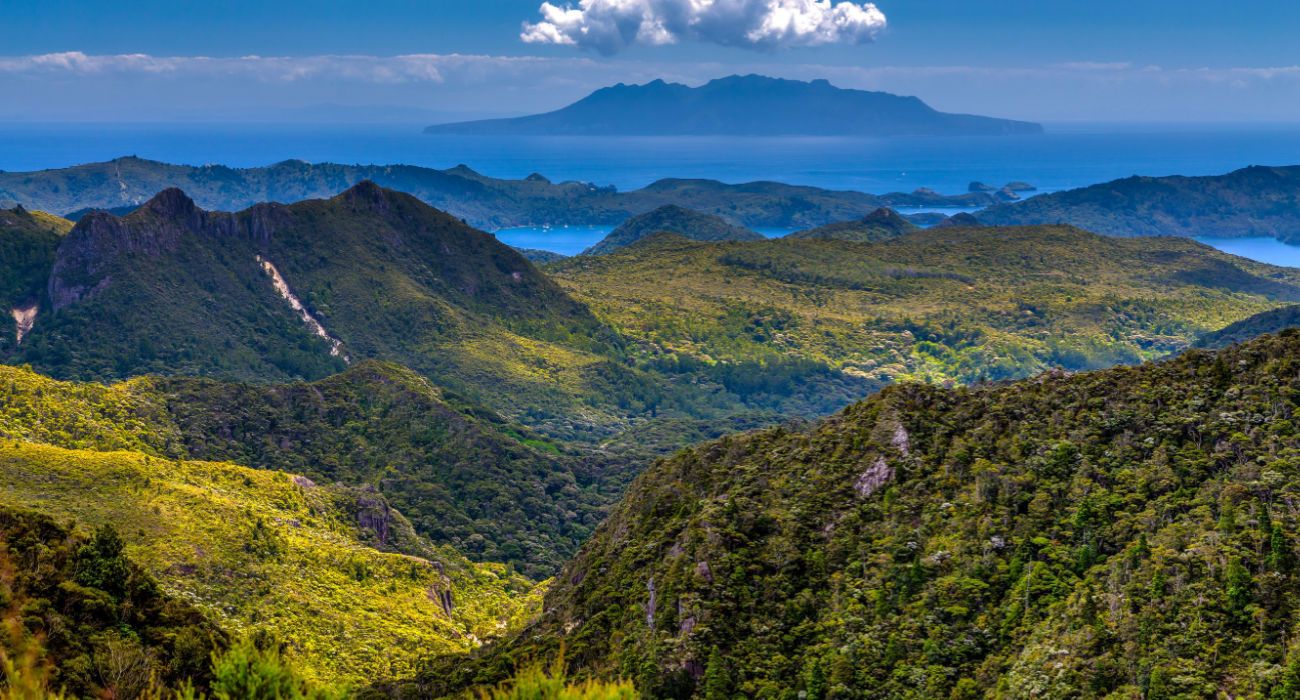 View from Mt Hobson, Great Barrier Island, New Zealand