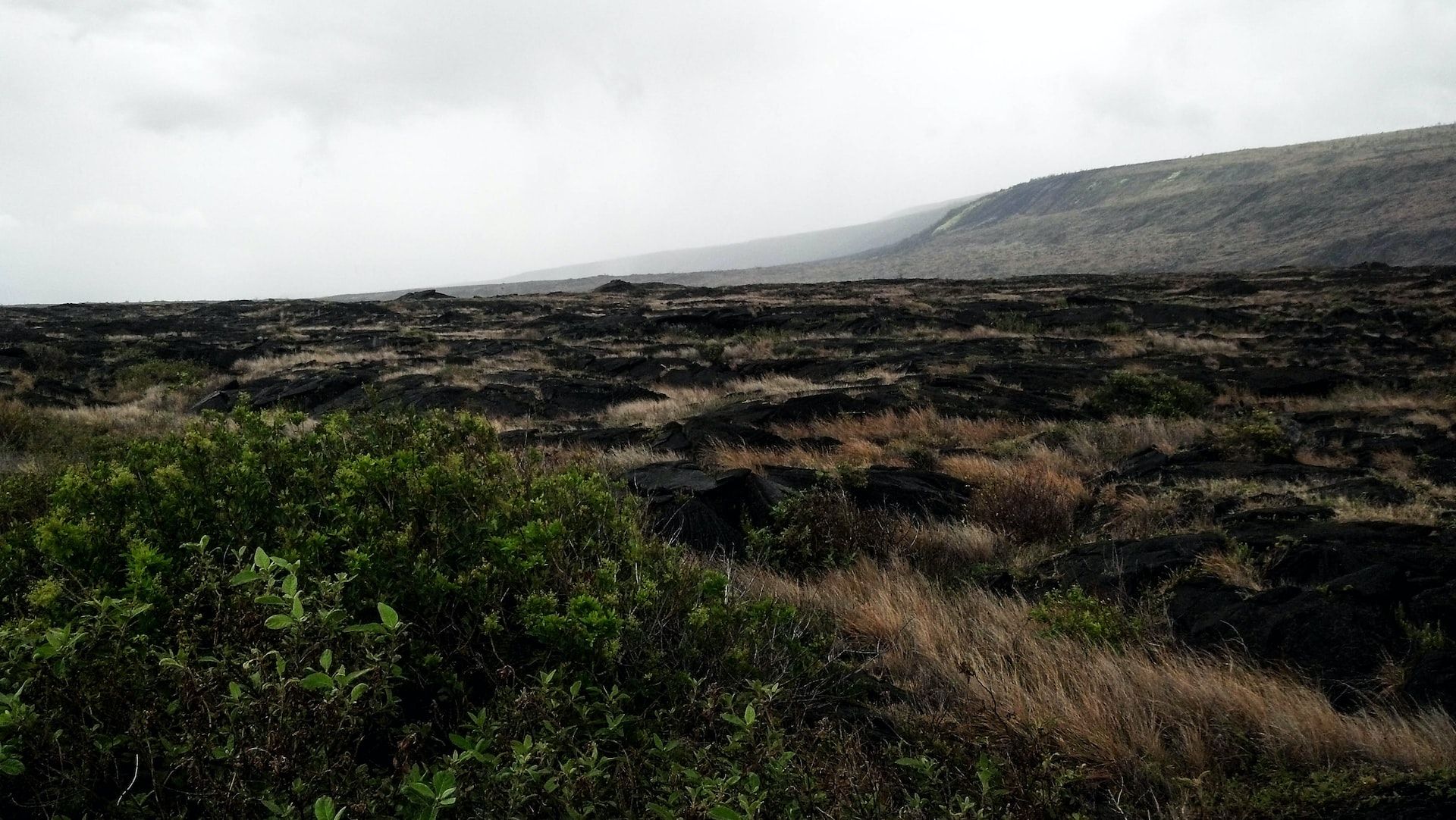 Stunning view of Hawaiʻi Volcanoes National Park.
