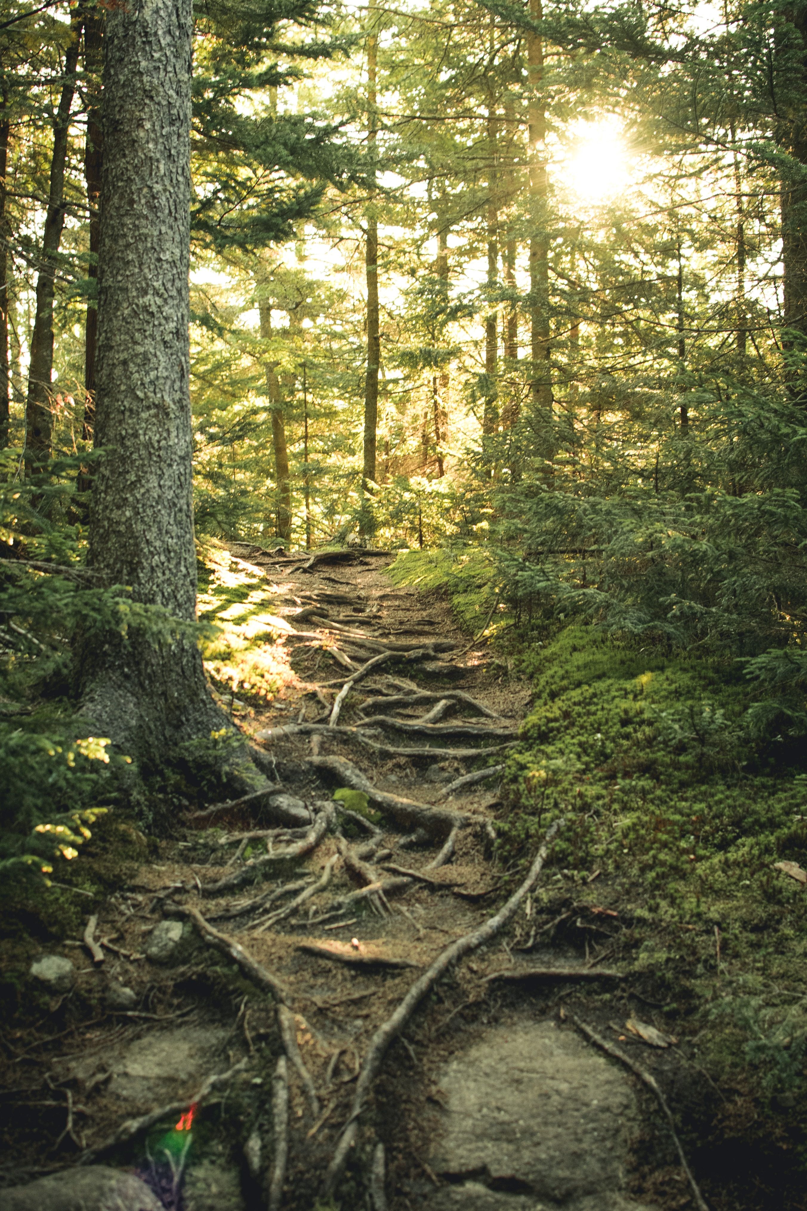Uma trilha nas montanhas Adirondack