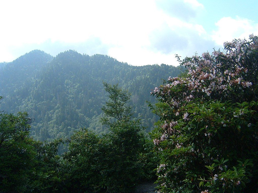 Great Smoky Mountains Overlook, USA