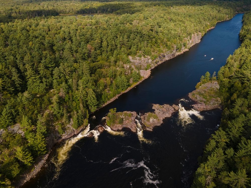 Aerial view of French River surrounded by coniferous forest