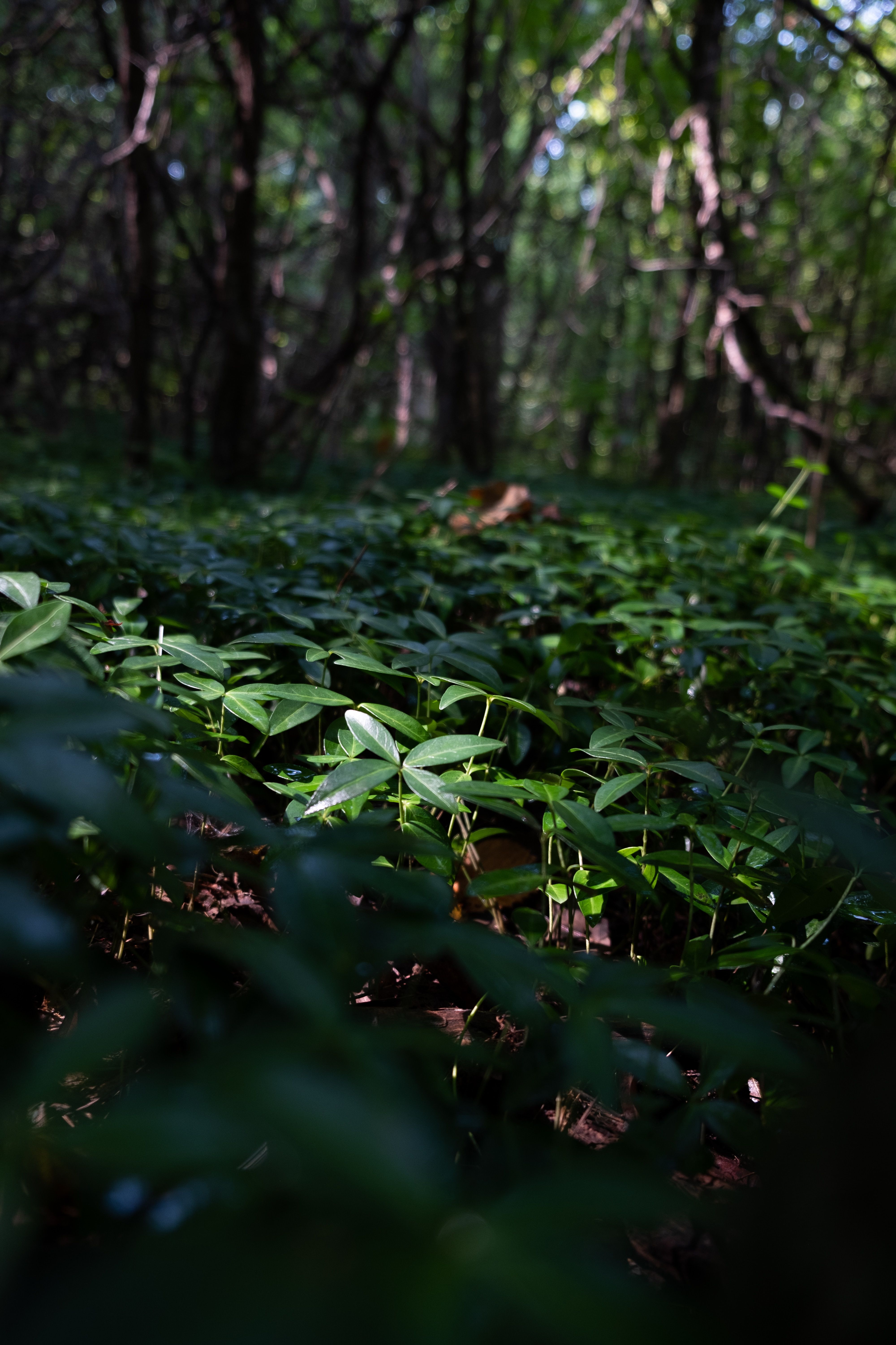 10 best state parks to visit near syracuse