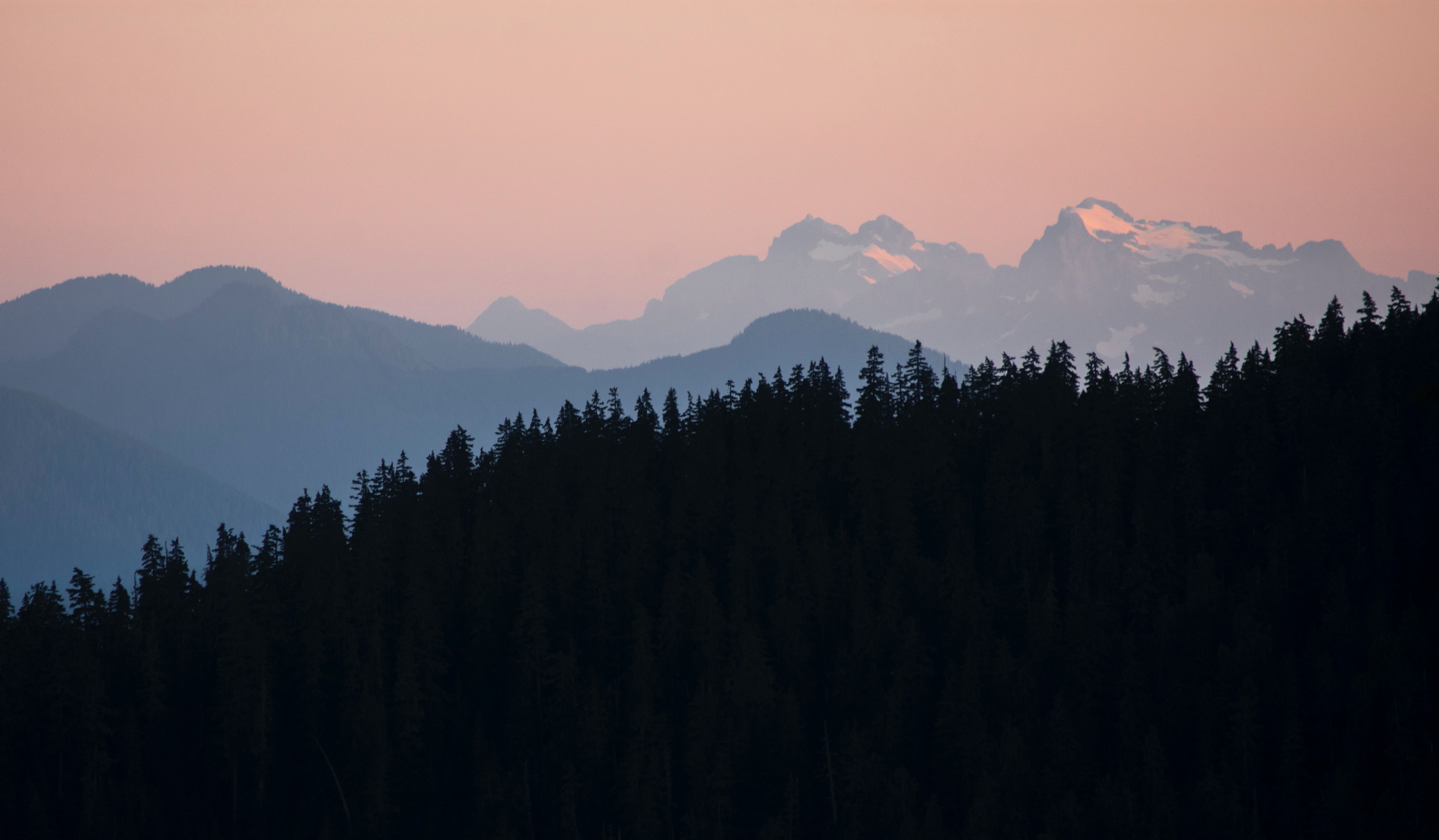 Pink sky and silhouette mountain range and trees 