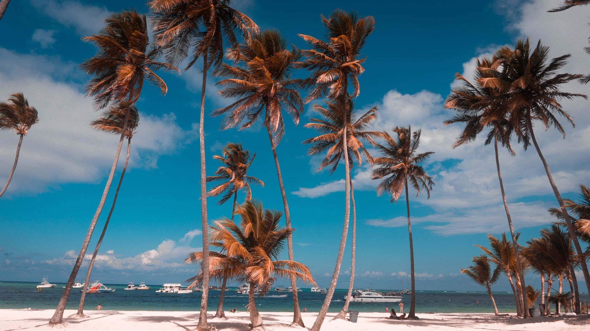 The calm, turquoise waters of Punta Cana's popular Bavaro Beach.