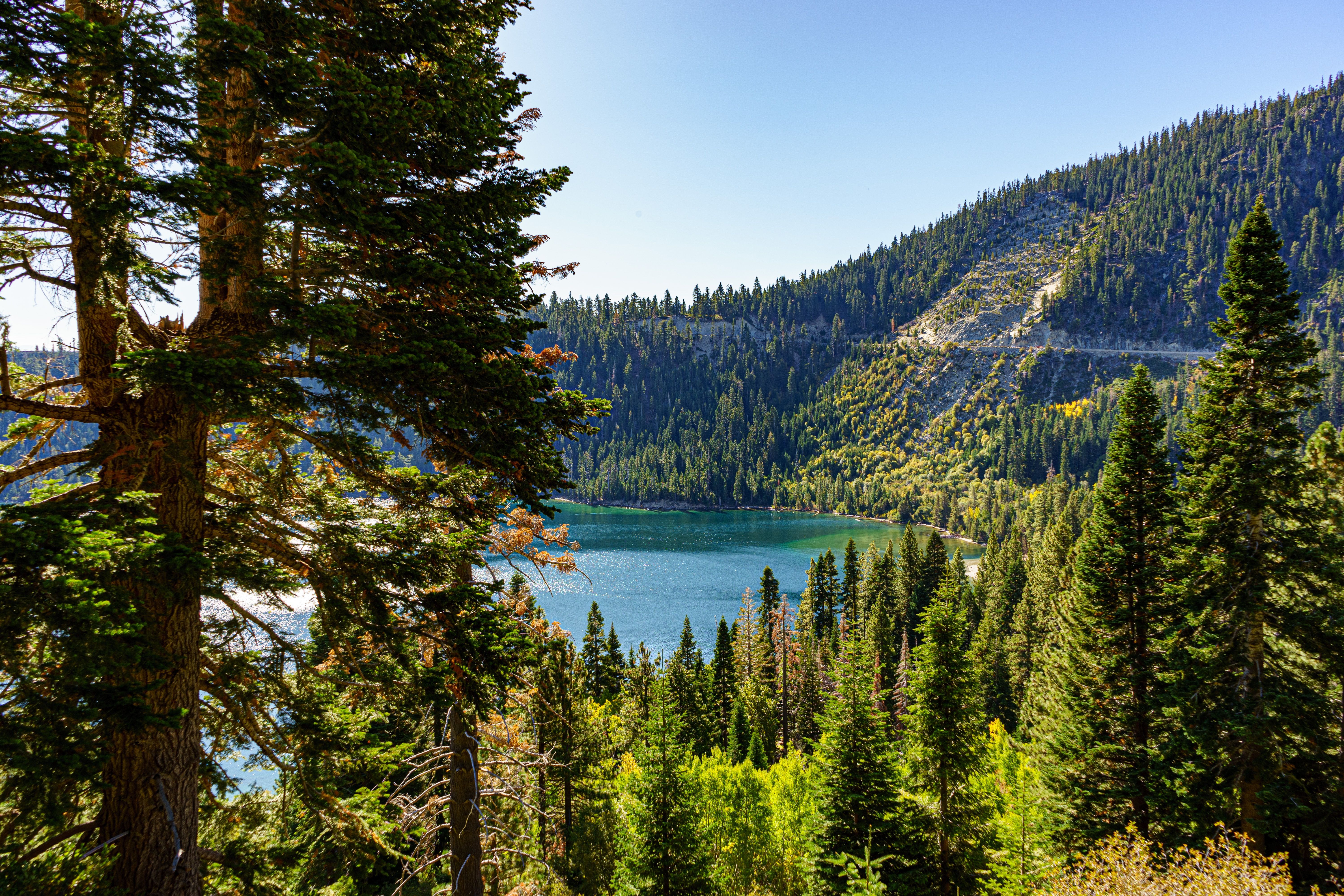 A lake surrounded by forest-carpeted hills under a bright blue sky in Lake Tahoe