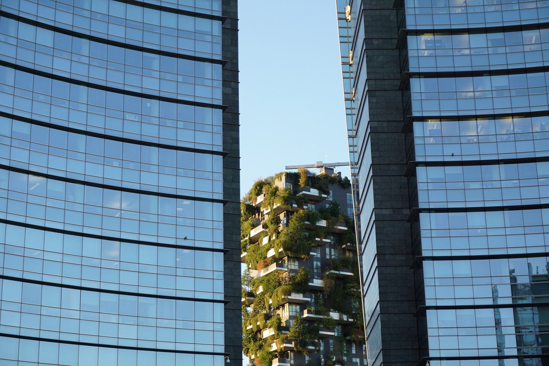 A picture of the Bosco Verticale in Milan, Italy