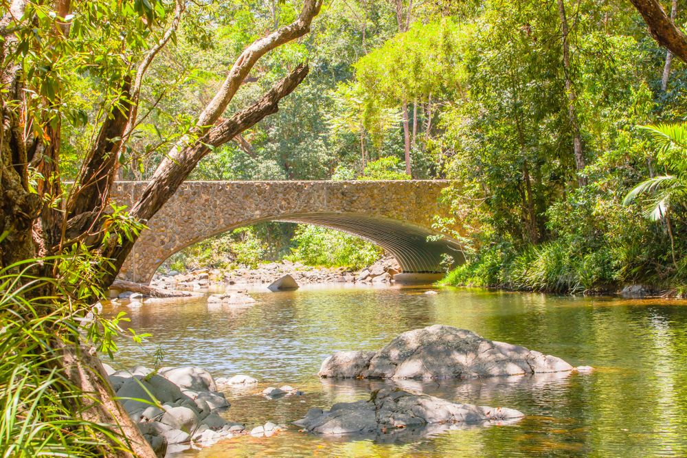Bridge over Woobadda Creek on the Bloomfield Track, Australia