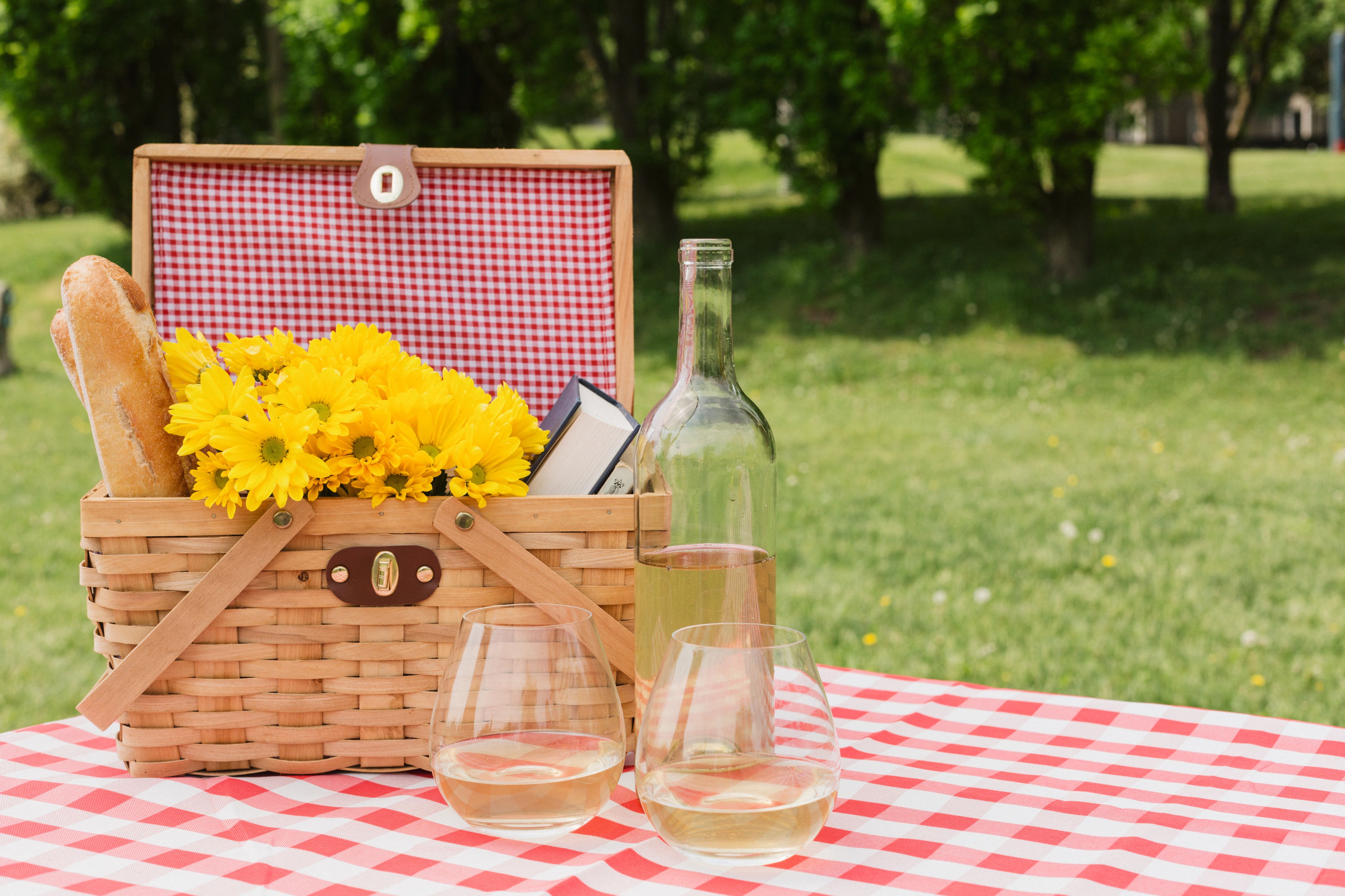 Picnic basket with wine vineyard