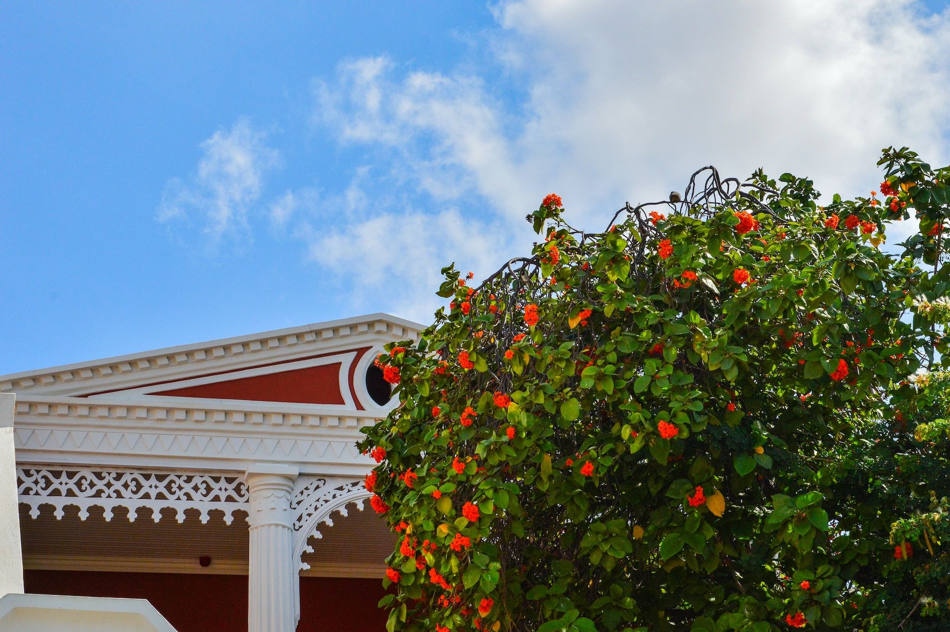 14 Things To Do In Oranjestad Complete Guide To Visiting Aruba's