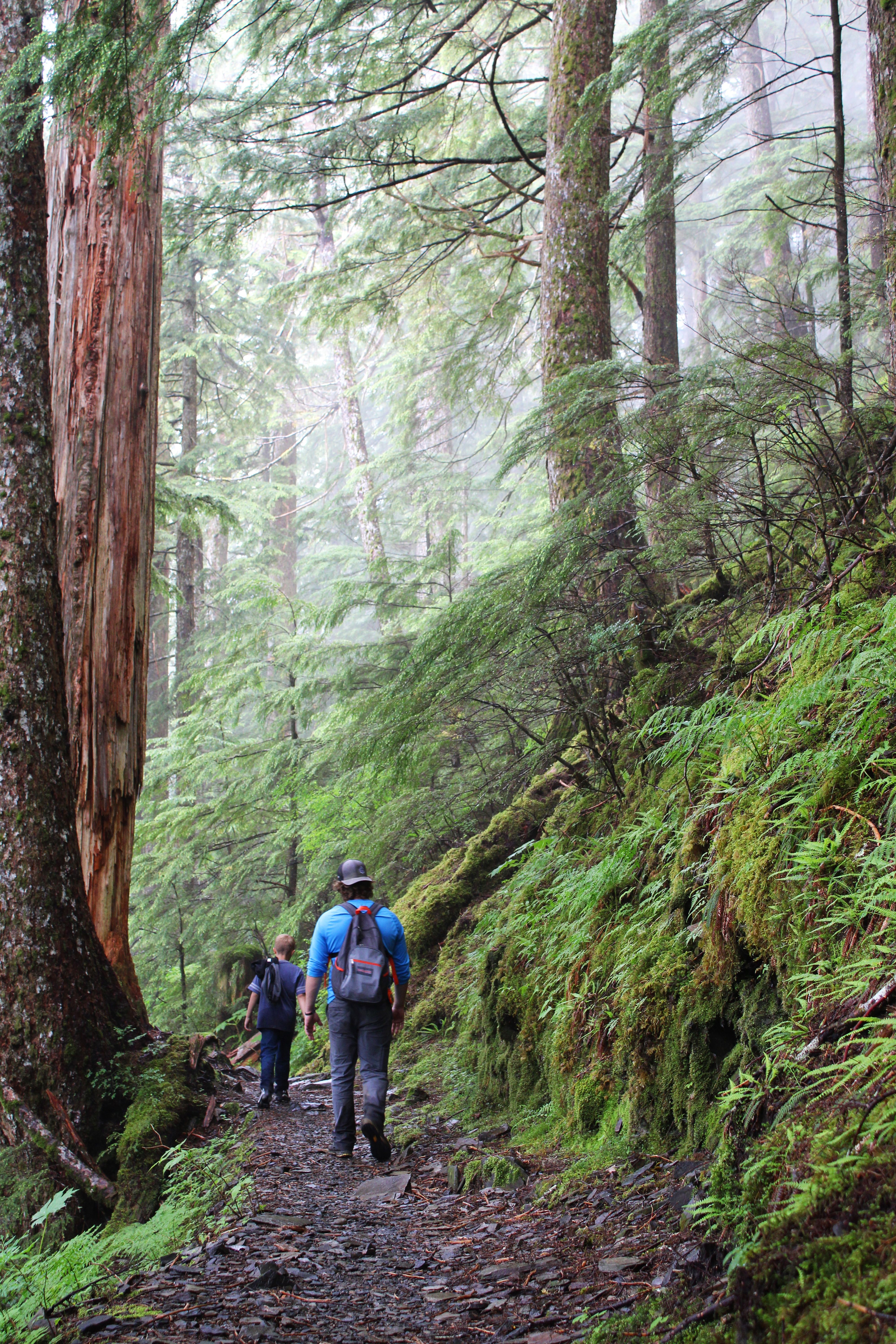 A man and a young boy on a trail surrounded by trees in Tongass National Forest Alaska