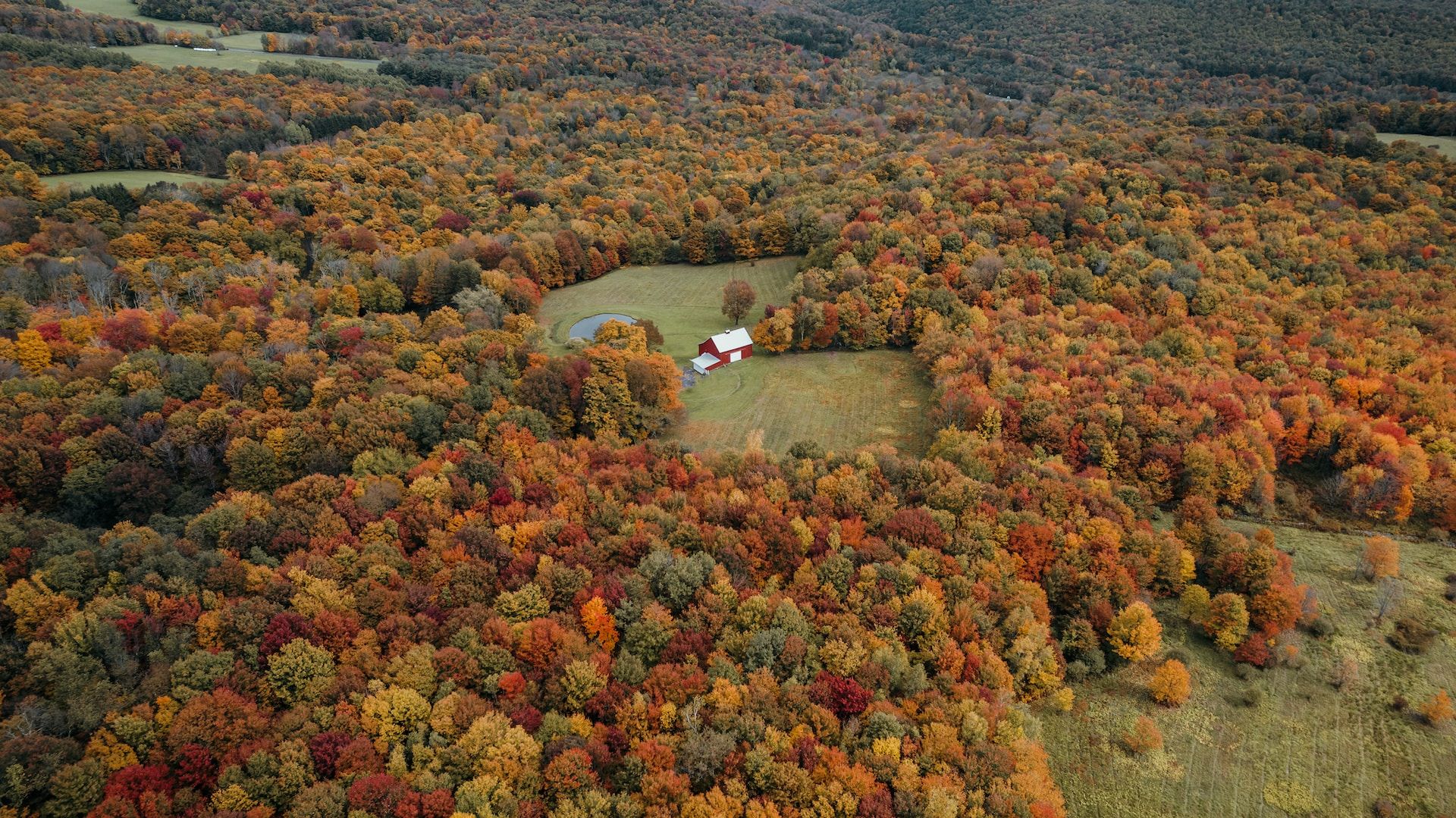 Fall foliage in the Catskills, New York, USA