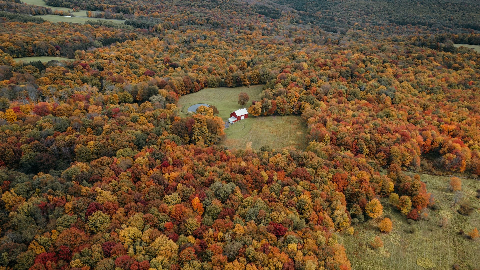 Aerial View Of Fall Foliage In The Catskills, New York, USA