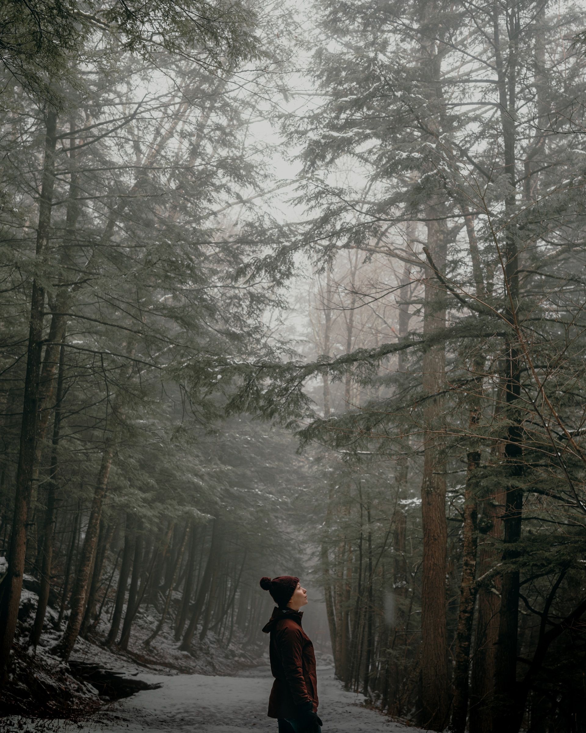 Hiker on a trail in Catskill Mountains during winter, New York