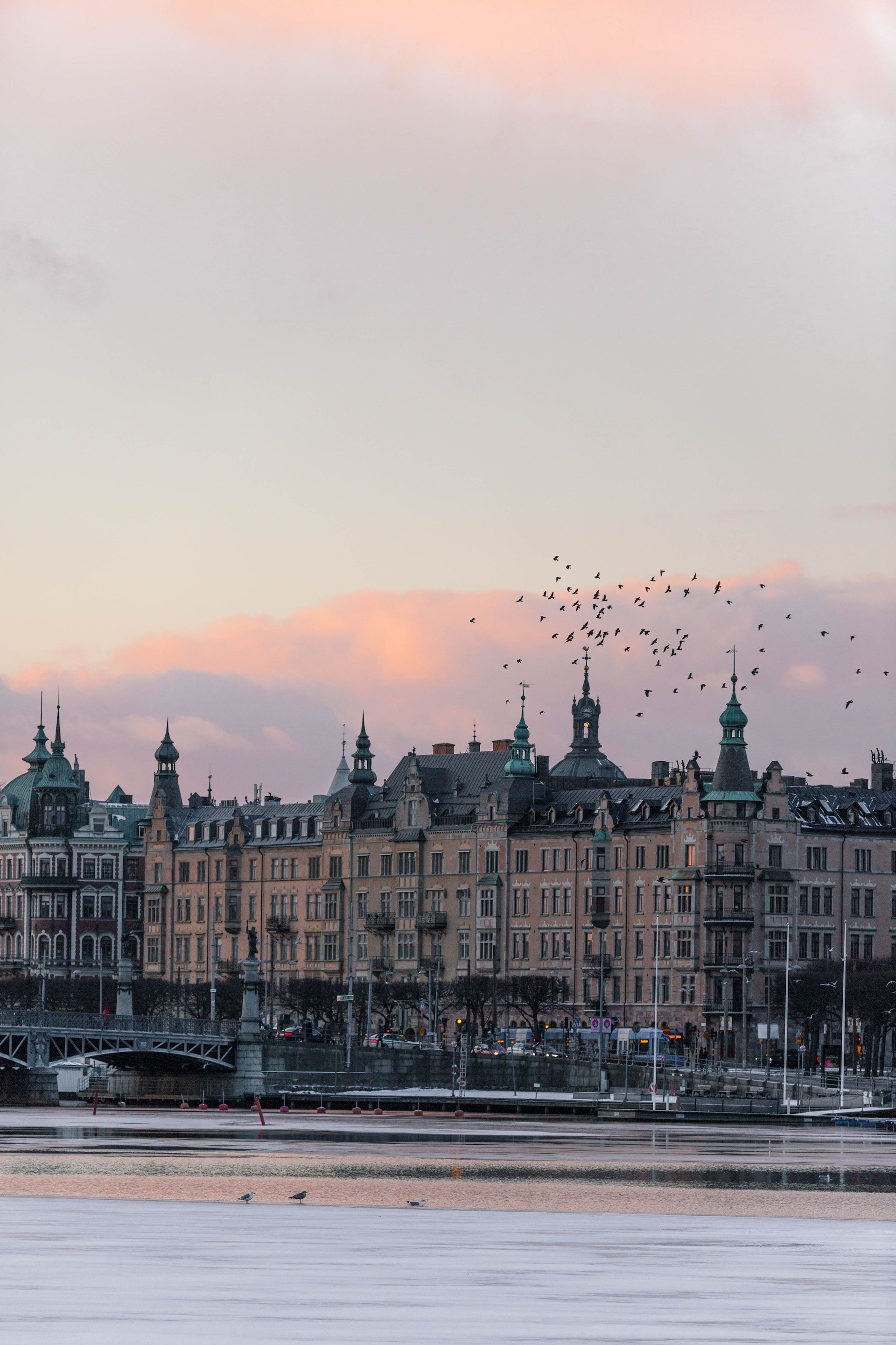 Birds fly over the calm oasis of Djurgården, an island located in central Stockholm. 