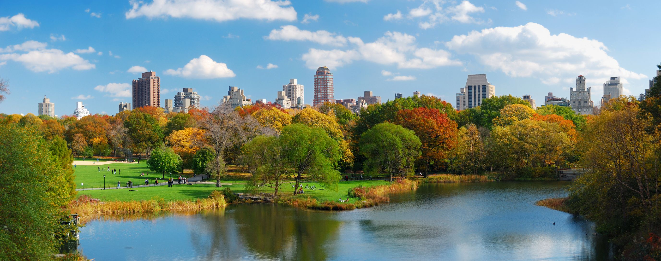 New York City Central Park featuring fall foliage