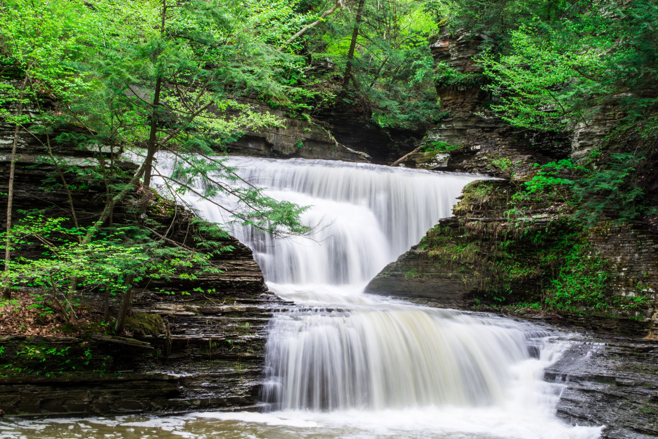 10 Of The Best Hiking Trails In Buttermilk Falls State Park For All ...