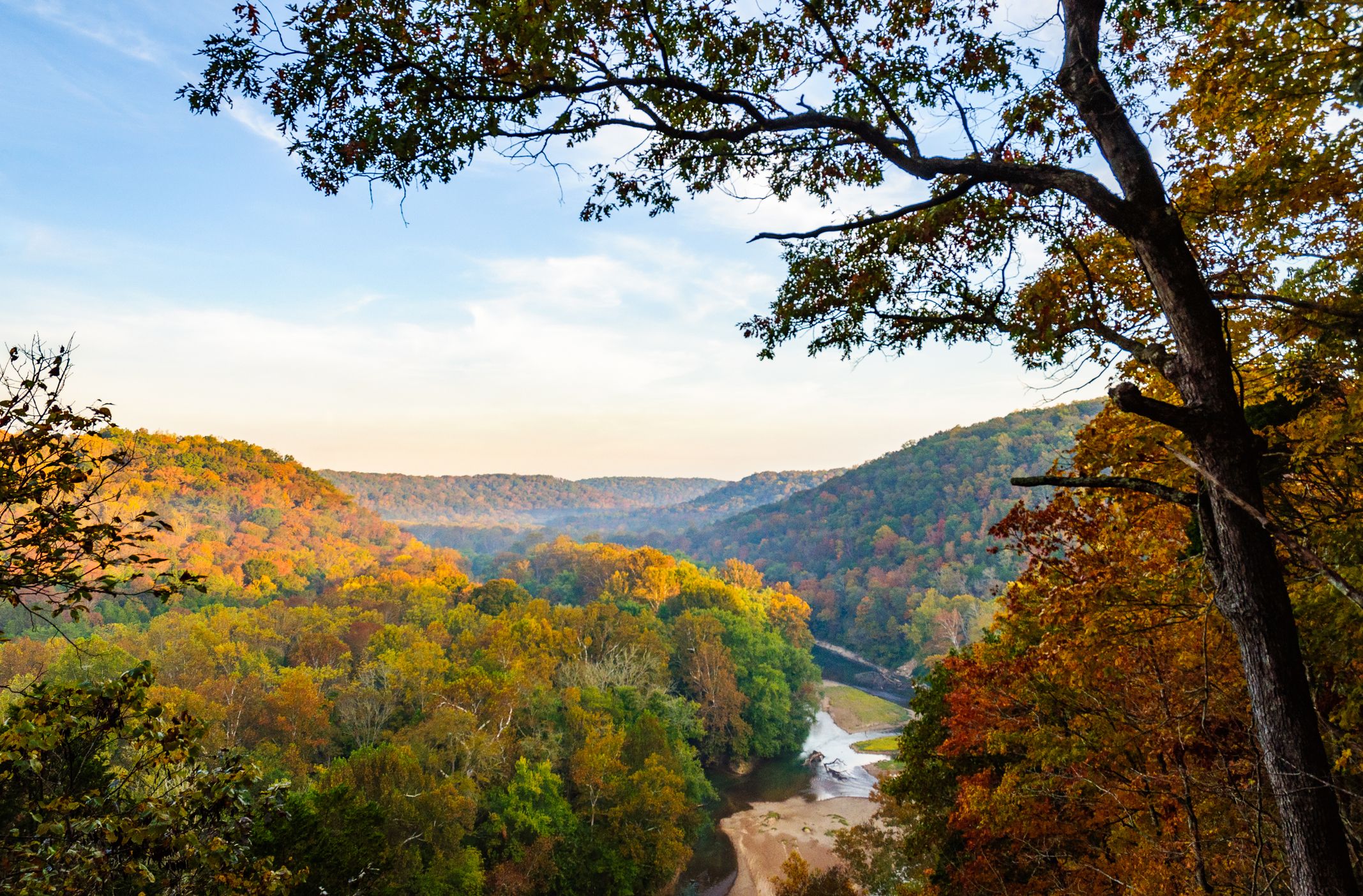 Photo of autumn in Mammoth Cave National Park